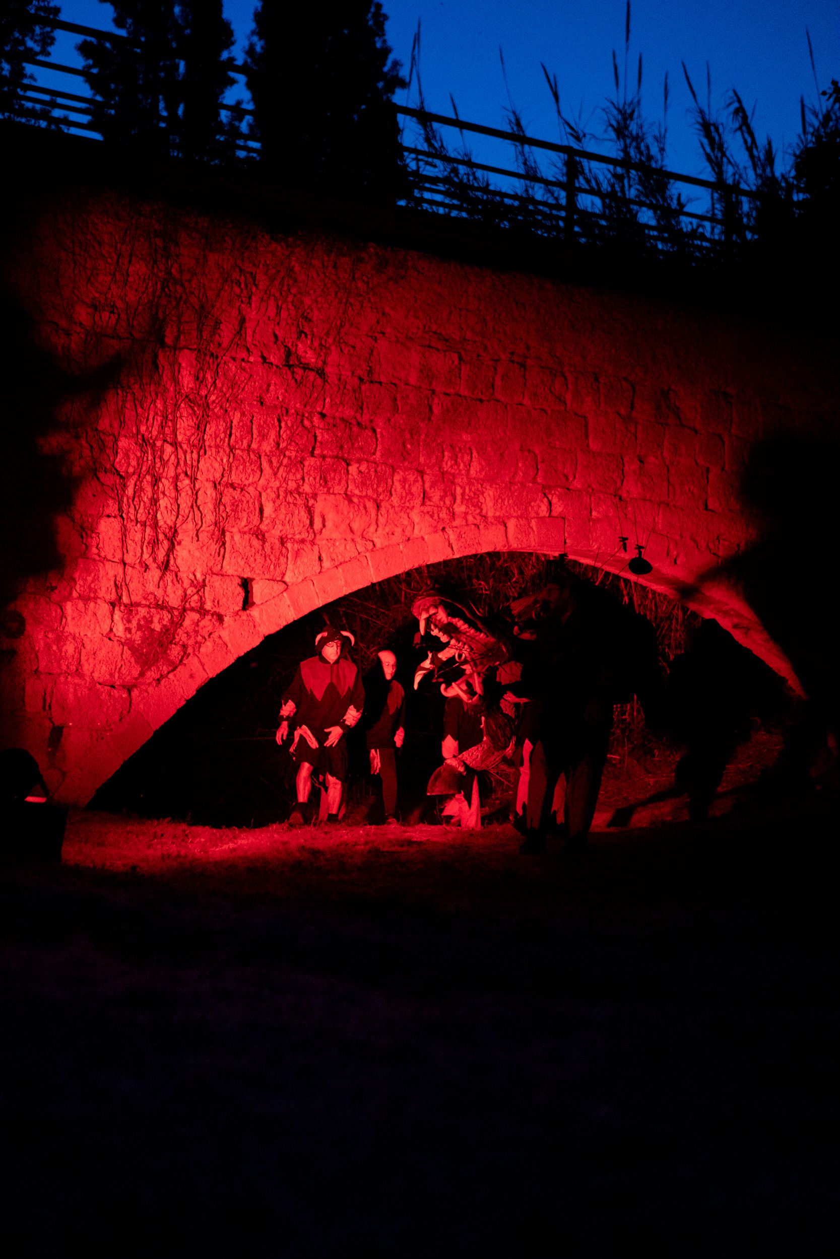 Despertar del Boc de Can Vernet. FOTO: Joana Arribas (TOT Sant Cugat)