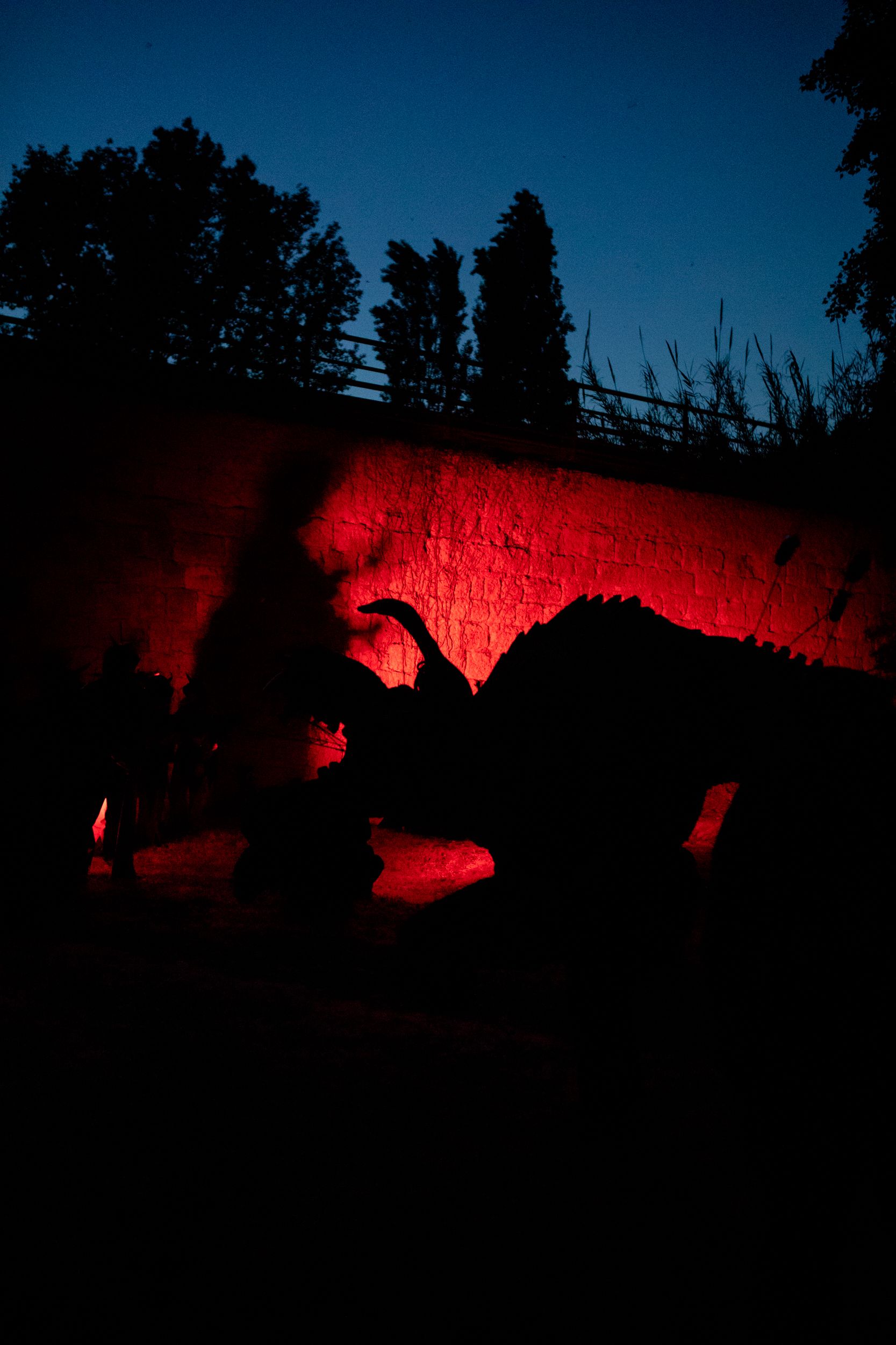 Despertar del Boc de Can Vernet. FOTO: Joana Arribas (TOT Sant Cugat)