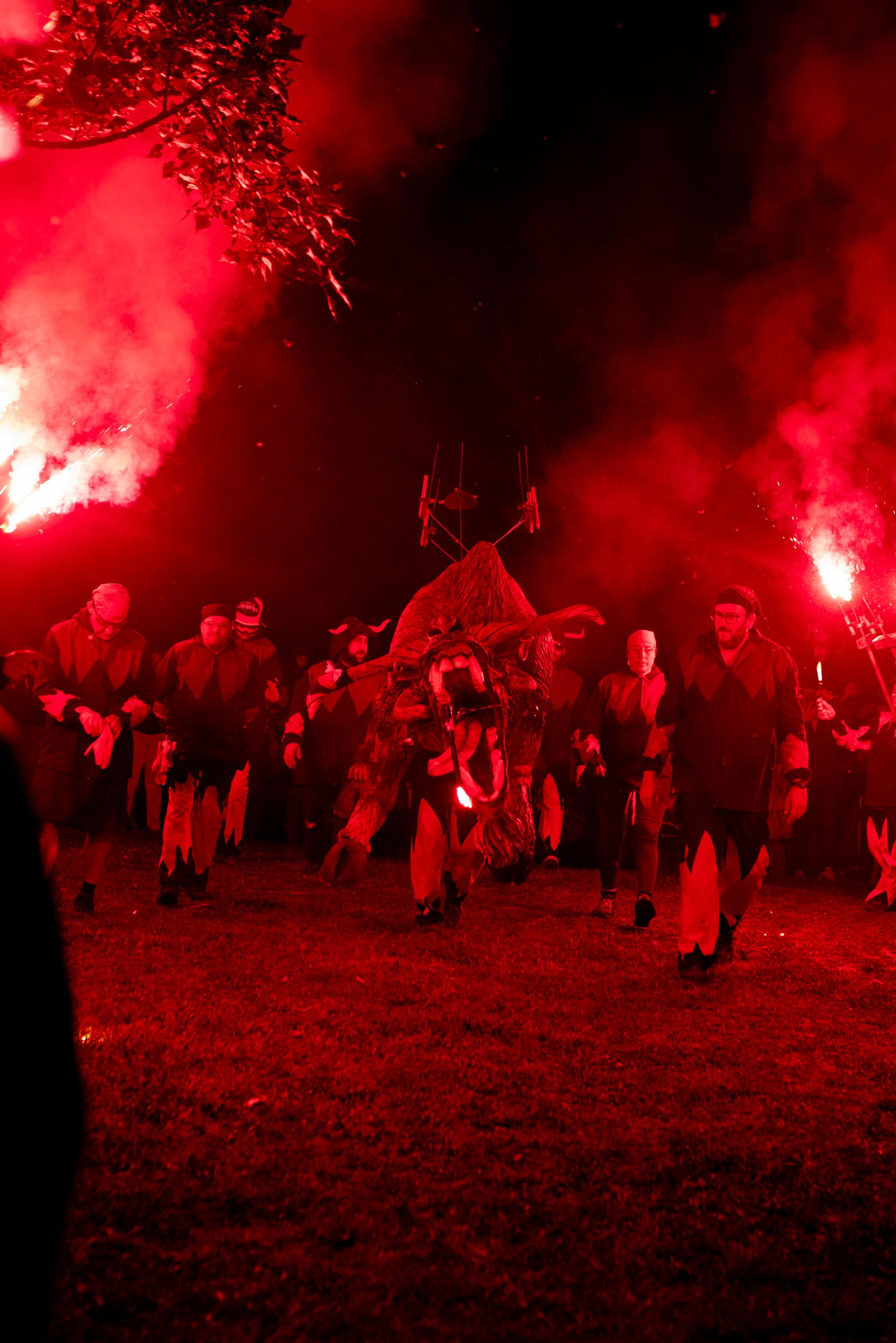 Despertar del Boc de Can Vernet. FOTO: Joana Arribas (TOT Sant Cugat)