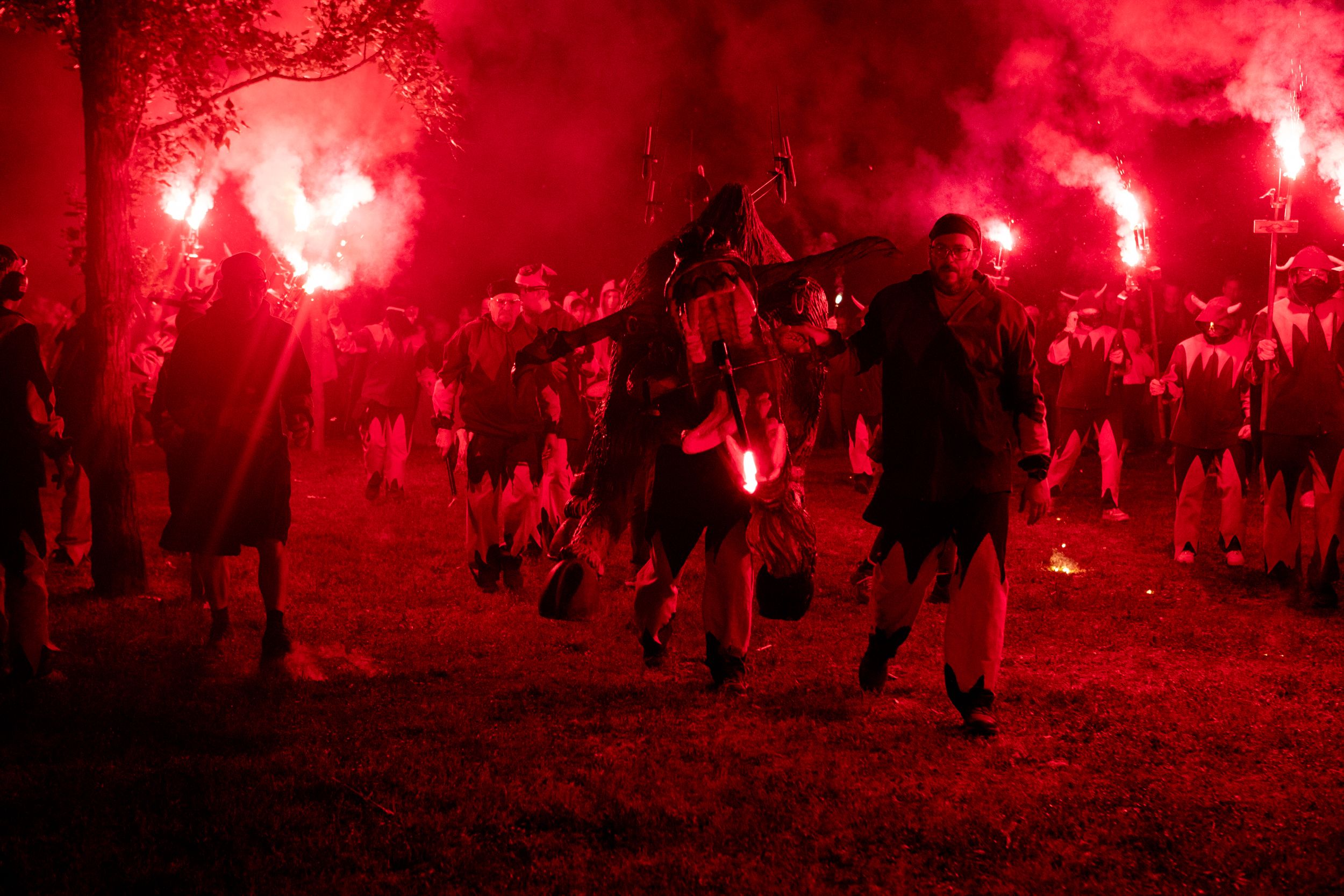 Despertar del Boc de Can Vernet. FOTO: Joana Arribas (TOT Sant Cugat)