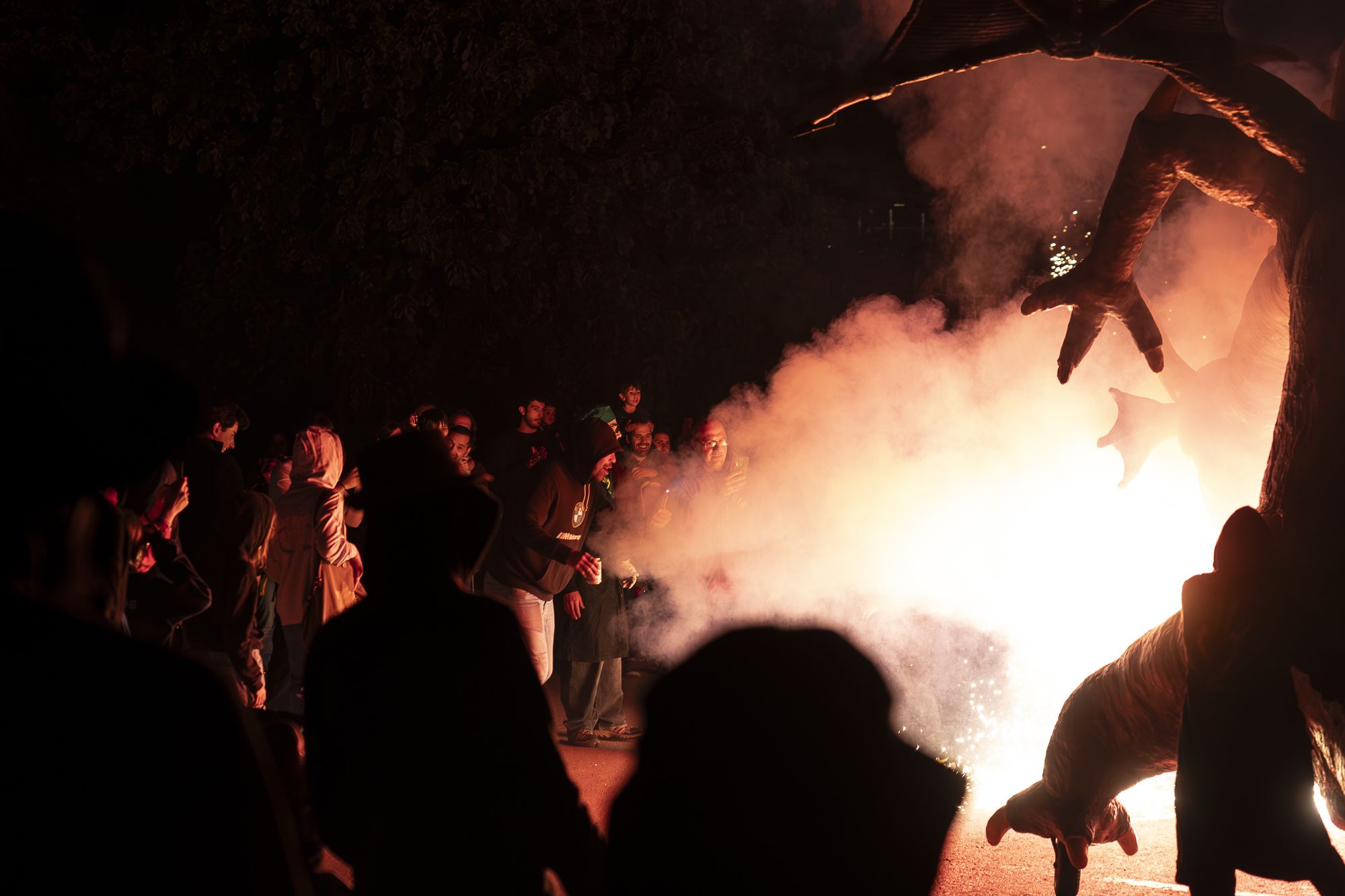 Correfoc i ball de foc de l'Encabronada 2026. FOTO: Mireia Comas