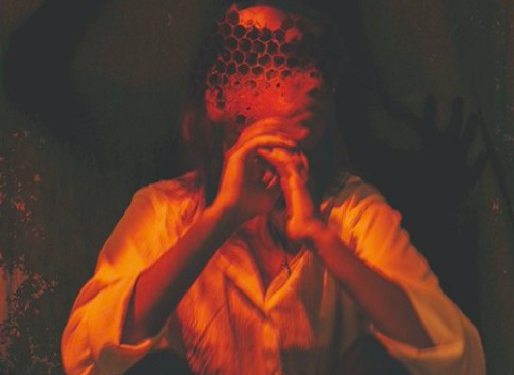 Fragment de la portada del llibre