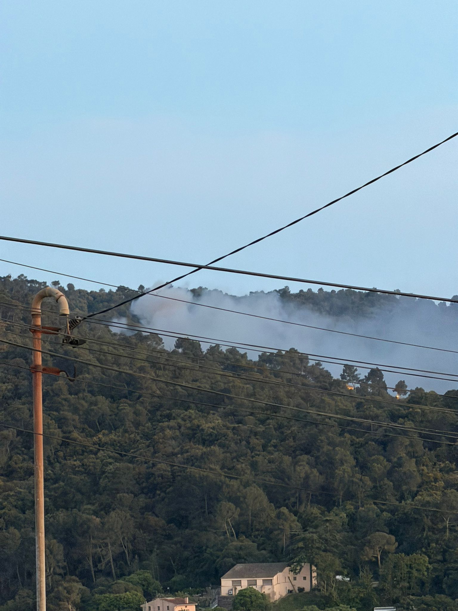 Incendi de vegetació. FOTO: Cedida