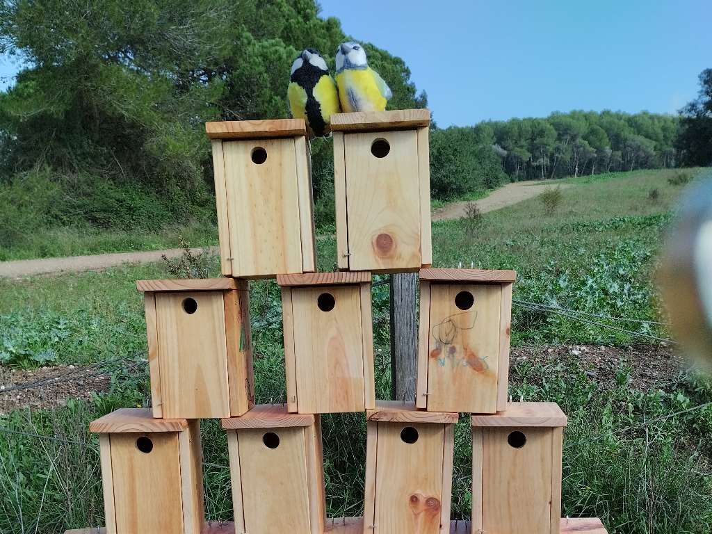 ocells natura