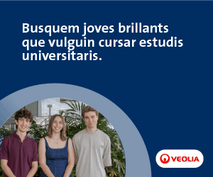 Veolia Banner BJTs 300x250