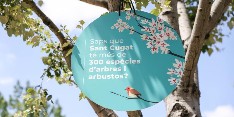 parcs i jardins (4)
