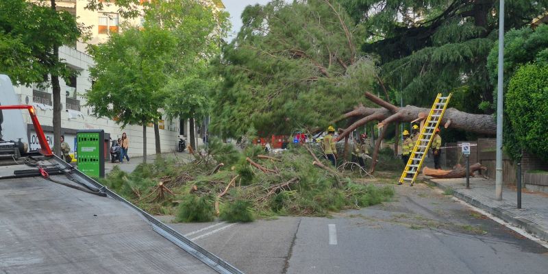 arbre 2 arbre 2