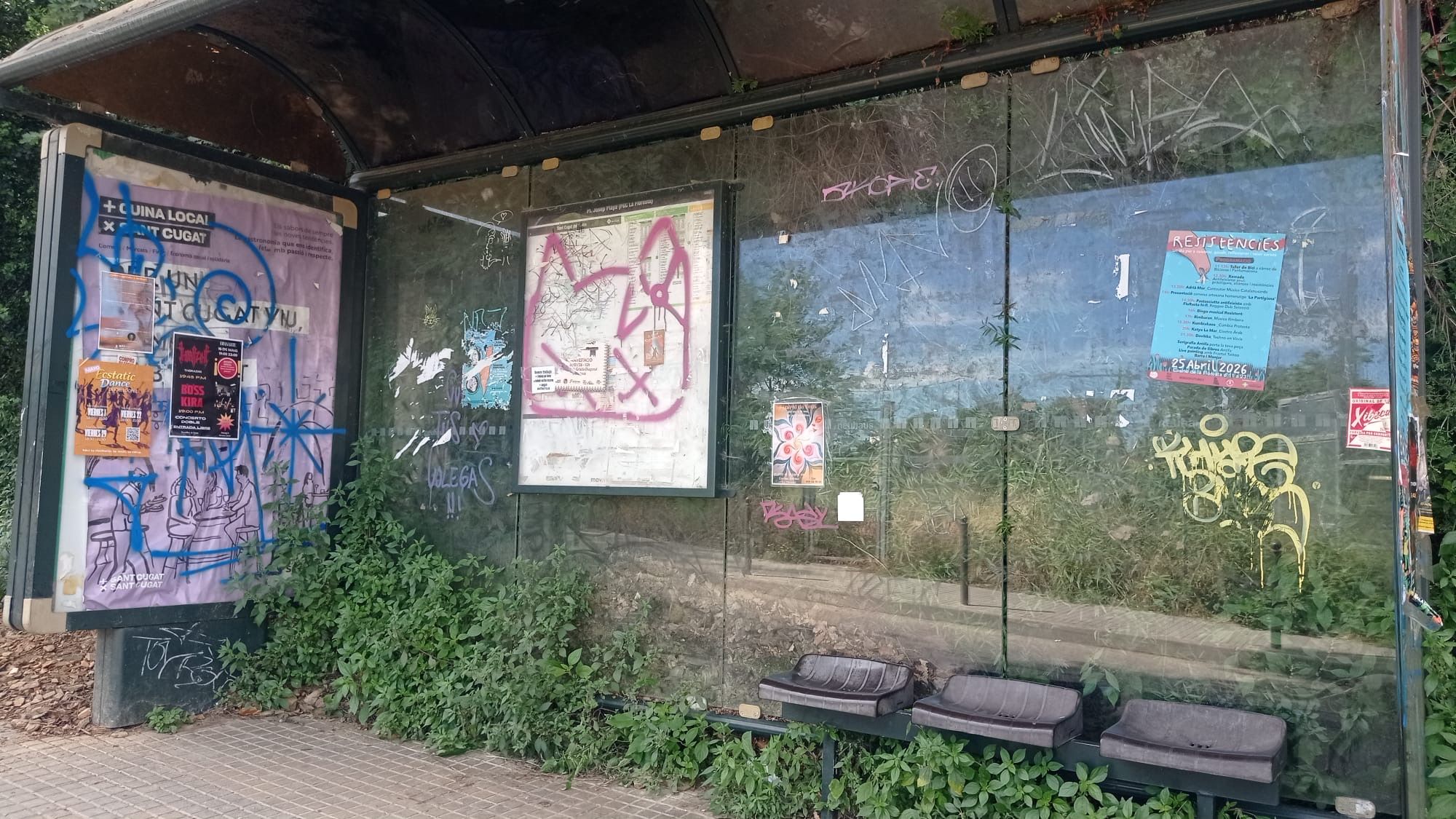 Grafitis a una parada d'autobús a la Floresta. FOTO: Cedida