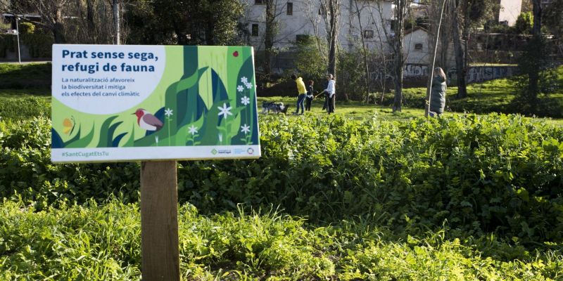 Una de les zones verdes de Sant Cugat, el parc de Can Vernet. FOTO: Bernat millet