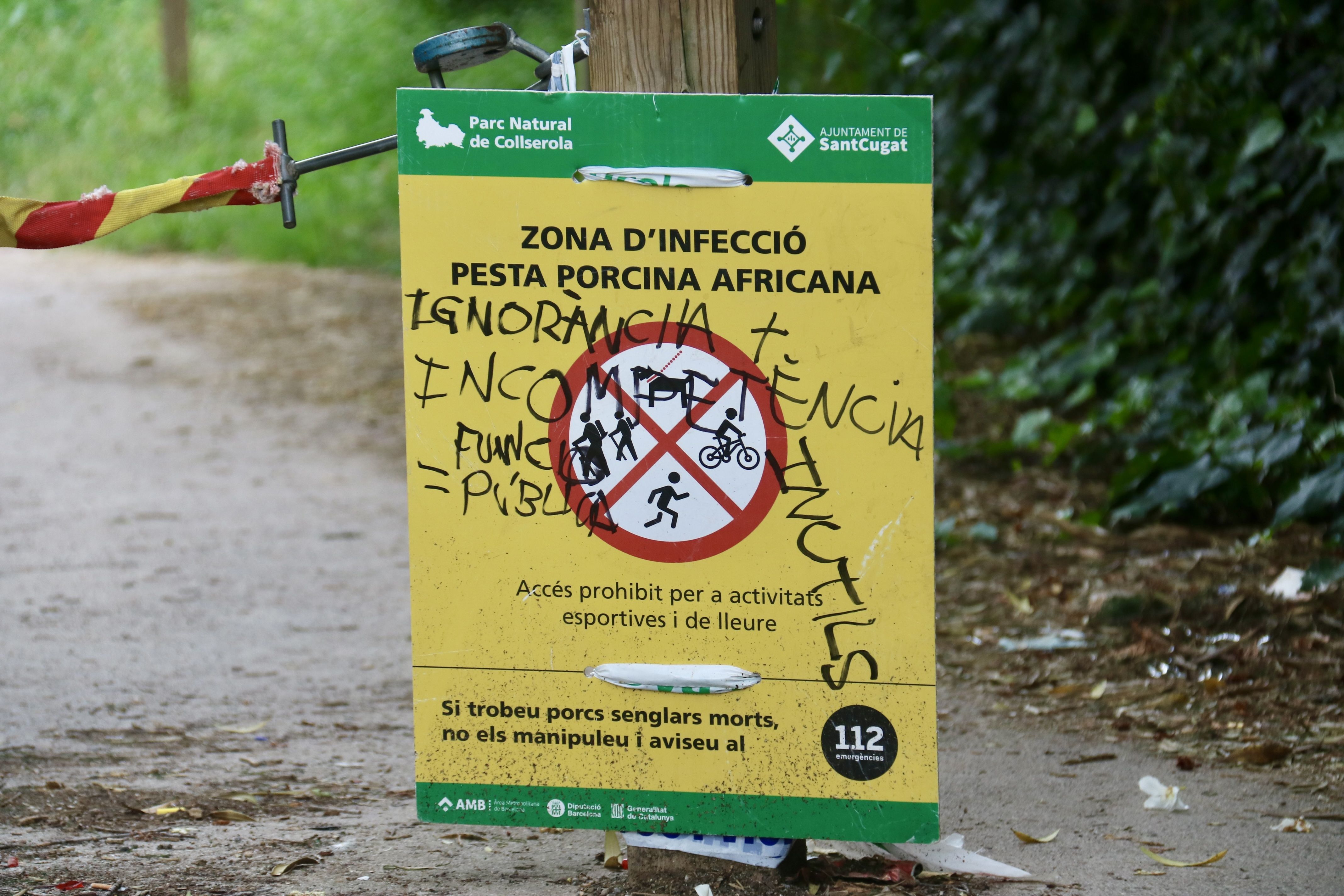 Cartell informatiu sobre la pesta porcina vandalitzat a Sant Cugat. FOTO: ACN