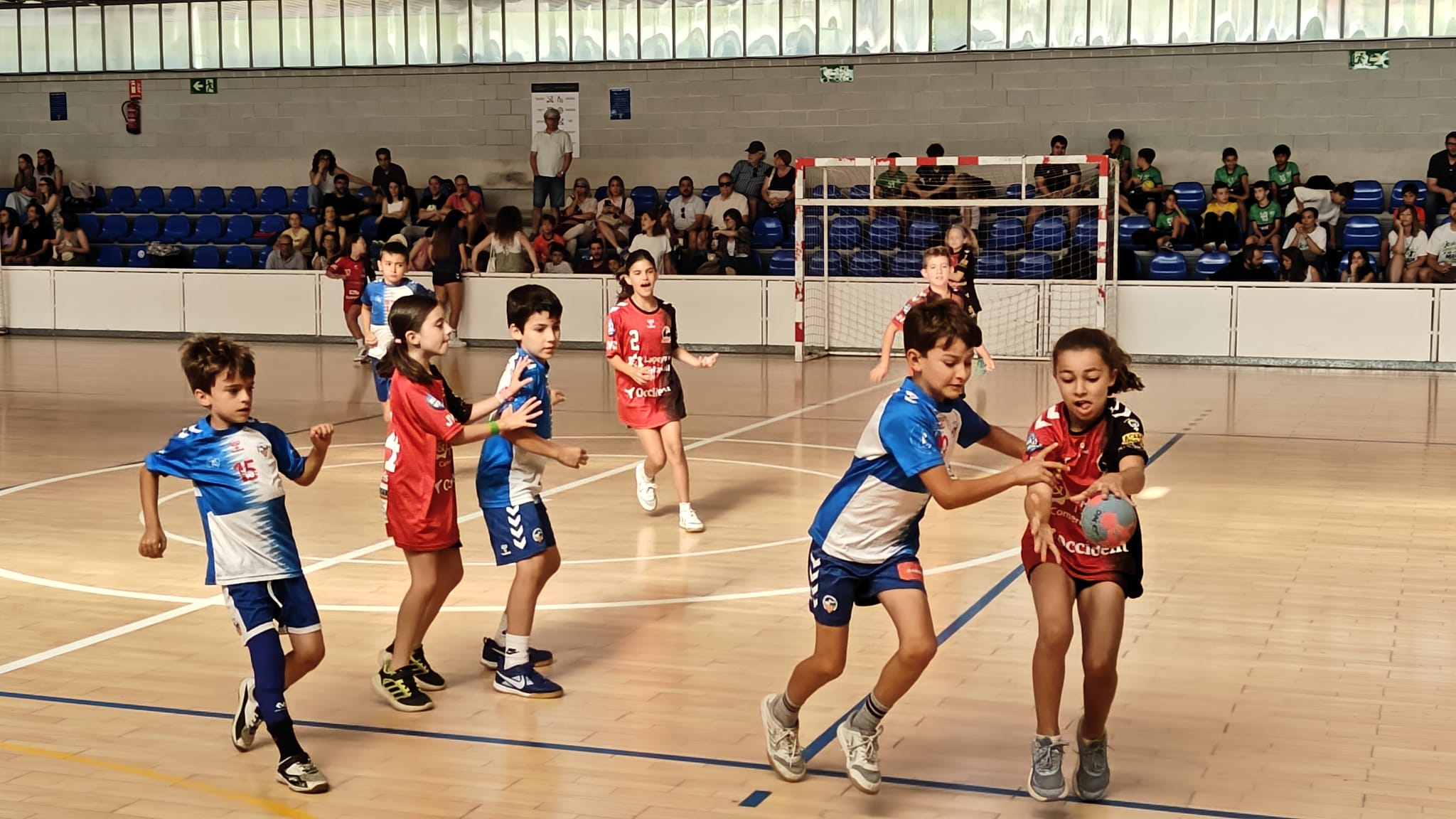 32a edició del Torneig d'Handbol de la Floresta. FOTO: Cedida