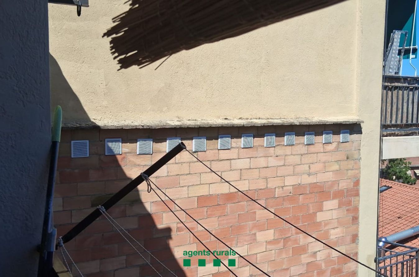 Els nius de falciot tapats amb reixes de ventilació a Sant Cugat FOTO: Agents Rurals