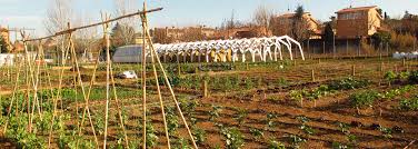 Hort de Mira sol