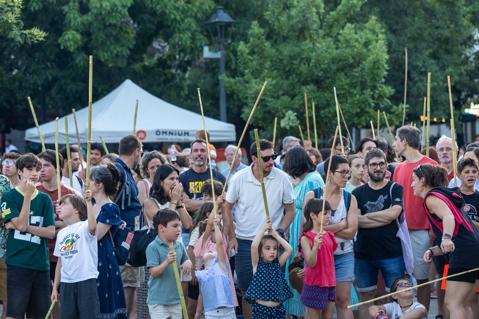 Flama del Canigó i encesa de la foguera 2026. FOTO: Ajuntament