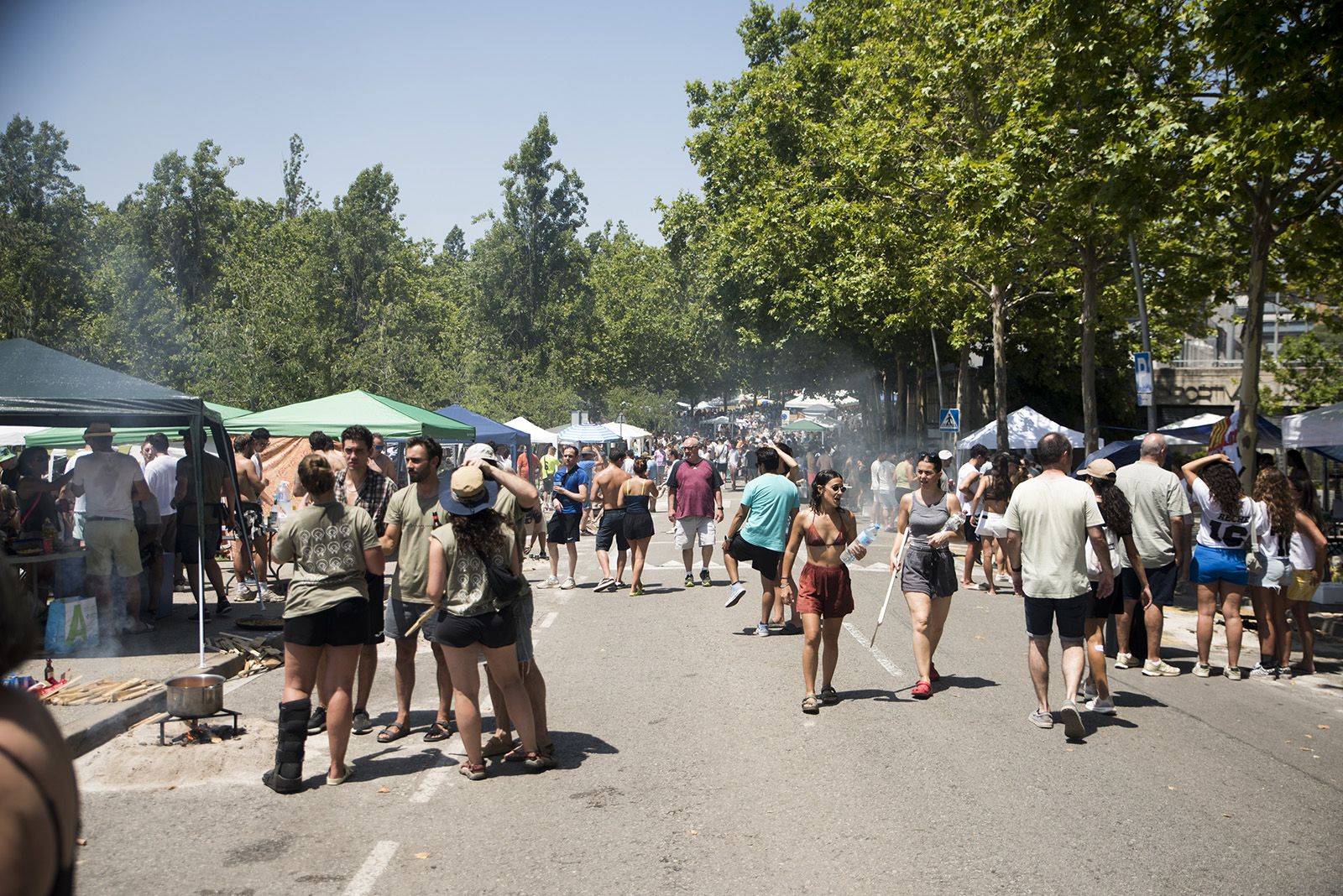45è Concurs d'arrossos. FOTO: Bernat Millet.