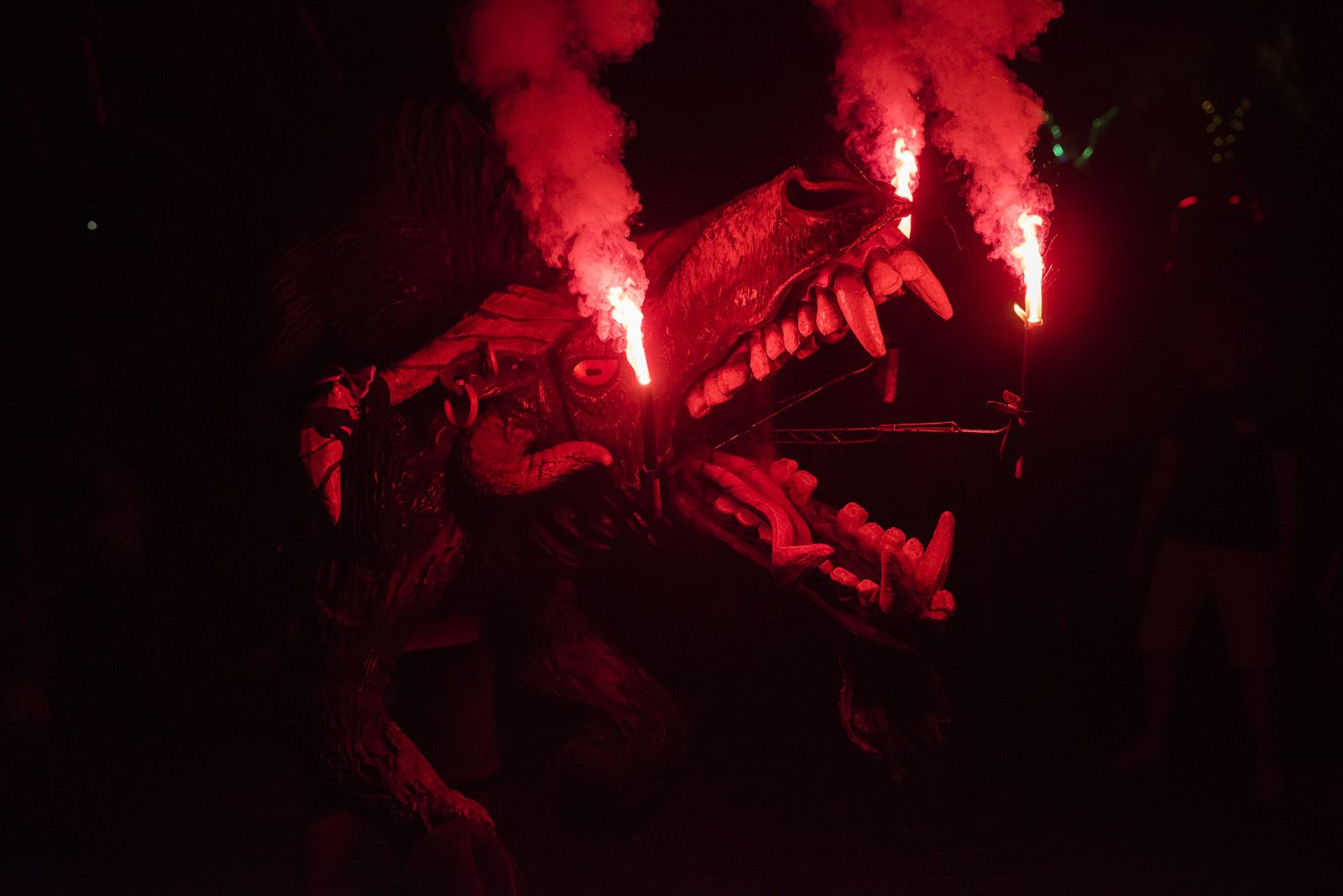 Seguici nocturn. FOTO: Bernat Millet (Tot Sant Cugat)