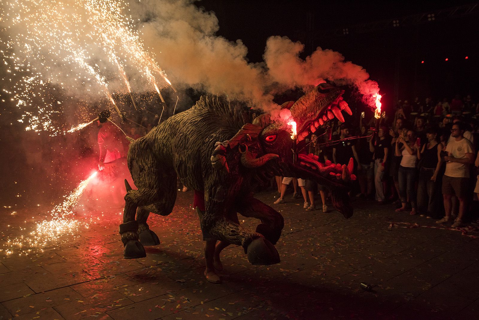 Seguici nocturn. FOTO: Bernat Millet (Tot Sant Cugat)