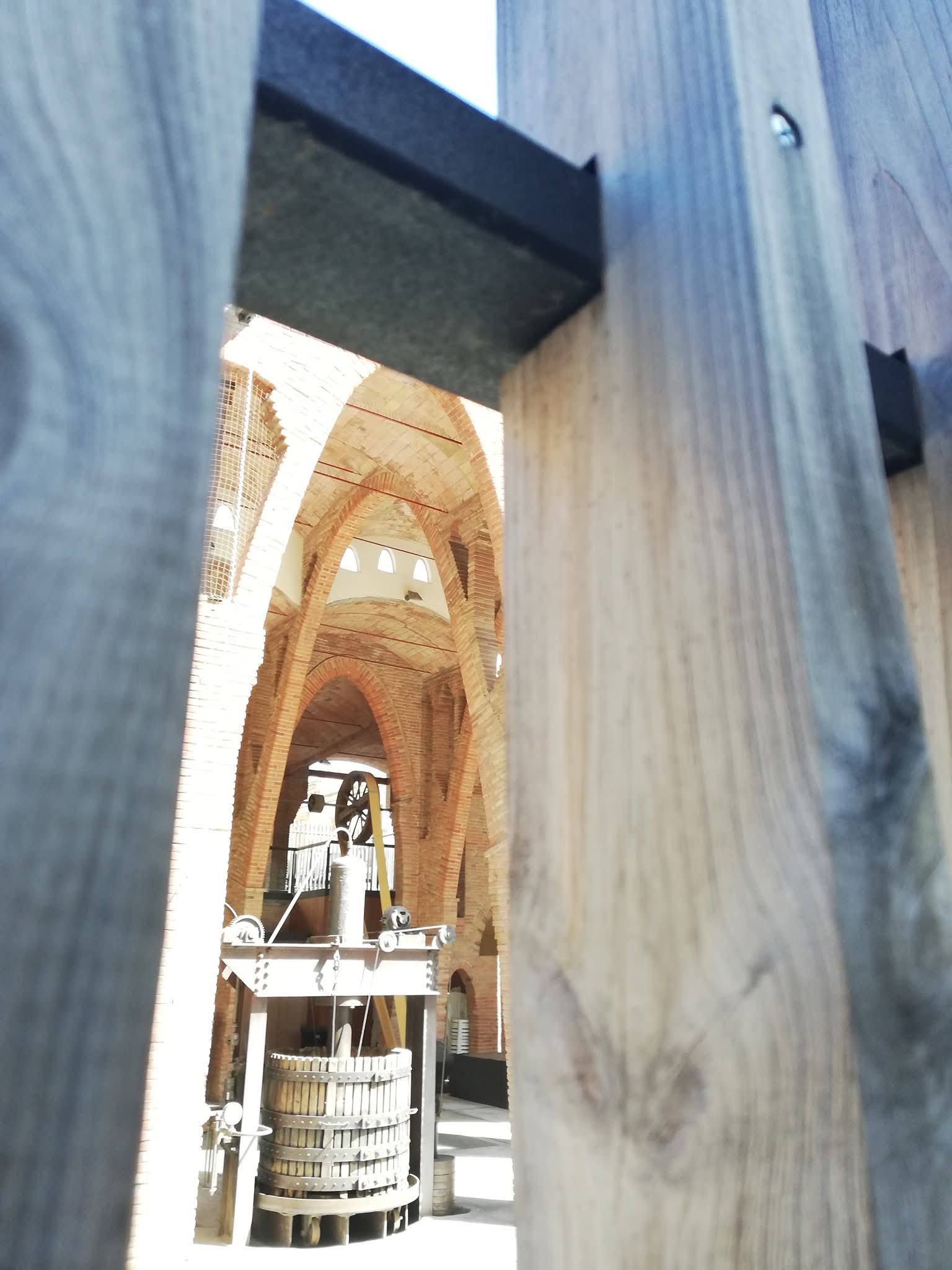 Celler · Sant Cugat FOTO: Montserrat Rosell Clusella
