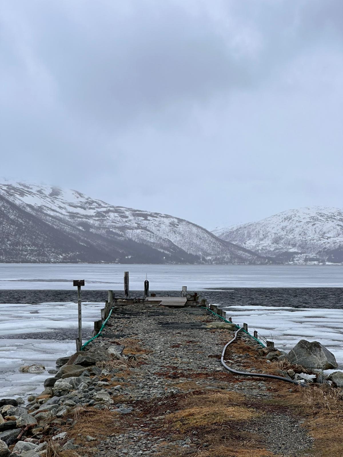 El respir de l'Àrtic · Tromso, Noruega FOTO: Jaume Soler Caballero