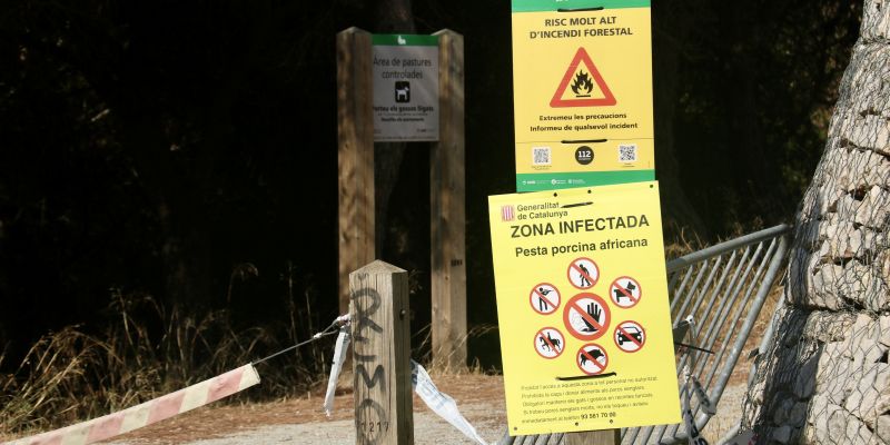 Restriccions d'accés a Collserola FOTO: ACN