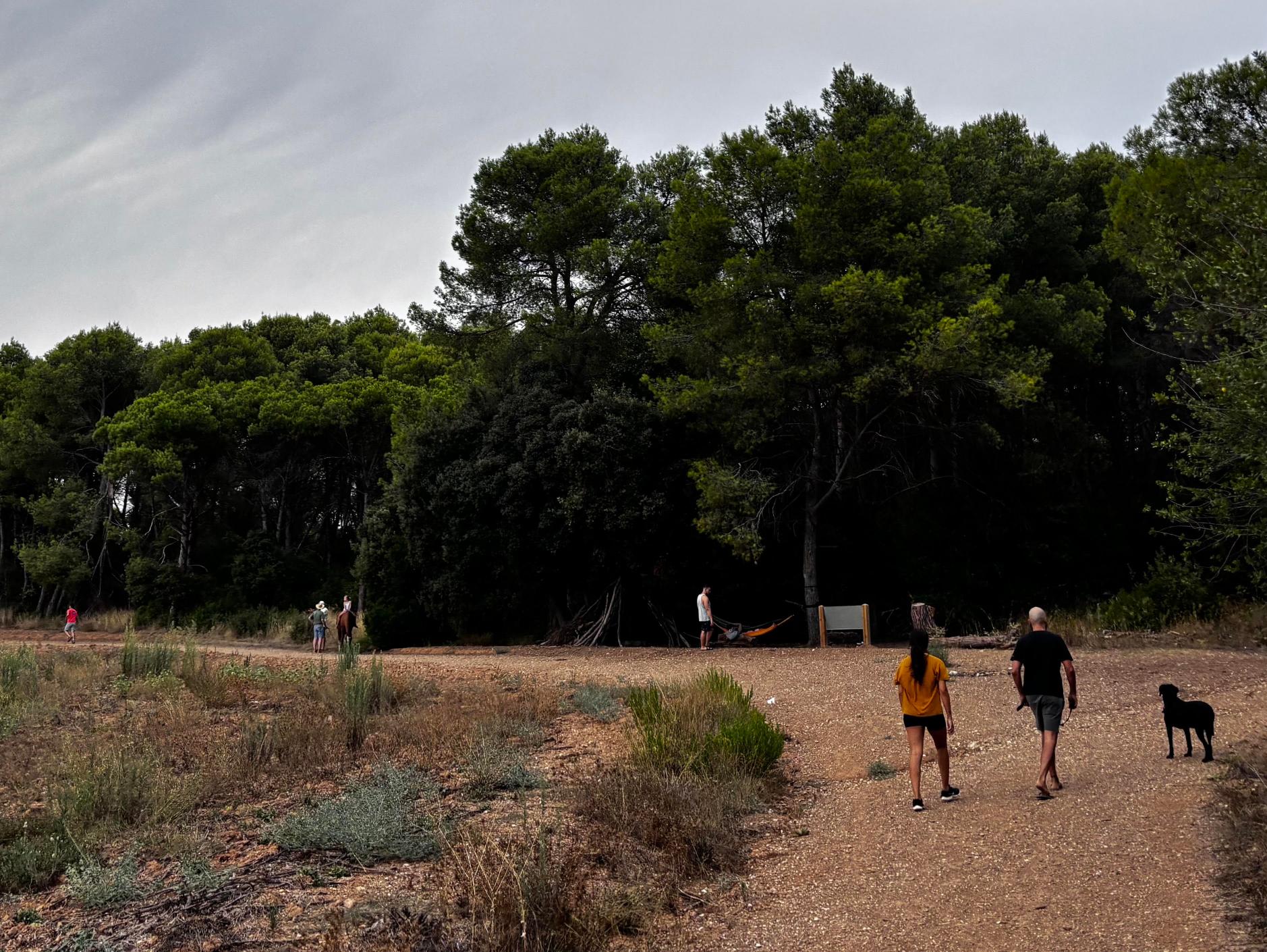 Molts ciutadans no respecten la prohibició d'entrar a Collserola per culpa de la pesta porcina FOTO: JR Armadàs