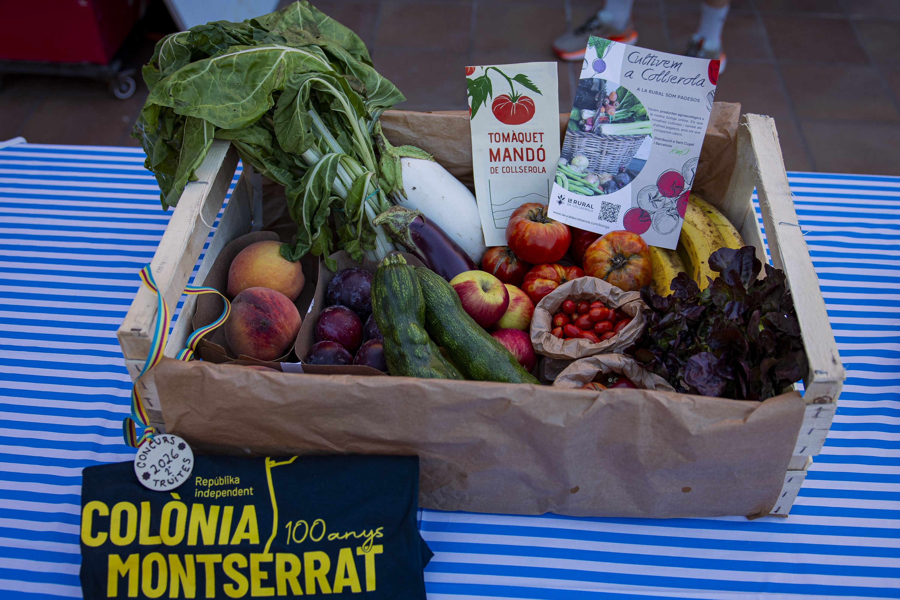 III Concurs de truites de la Festa Major de la Colònia Montserrat de Valldoreix. FOTO: Pol Rodríguez (TOT Sant Cugat)
