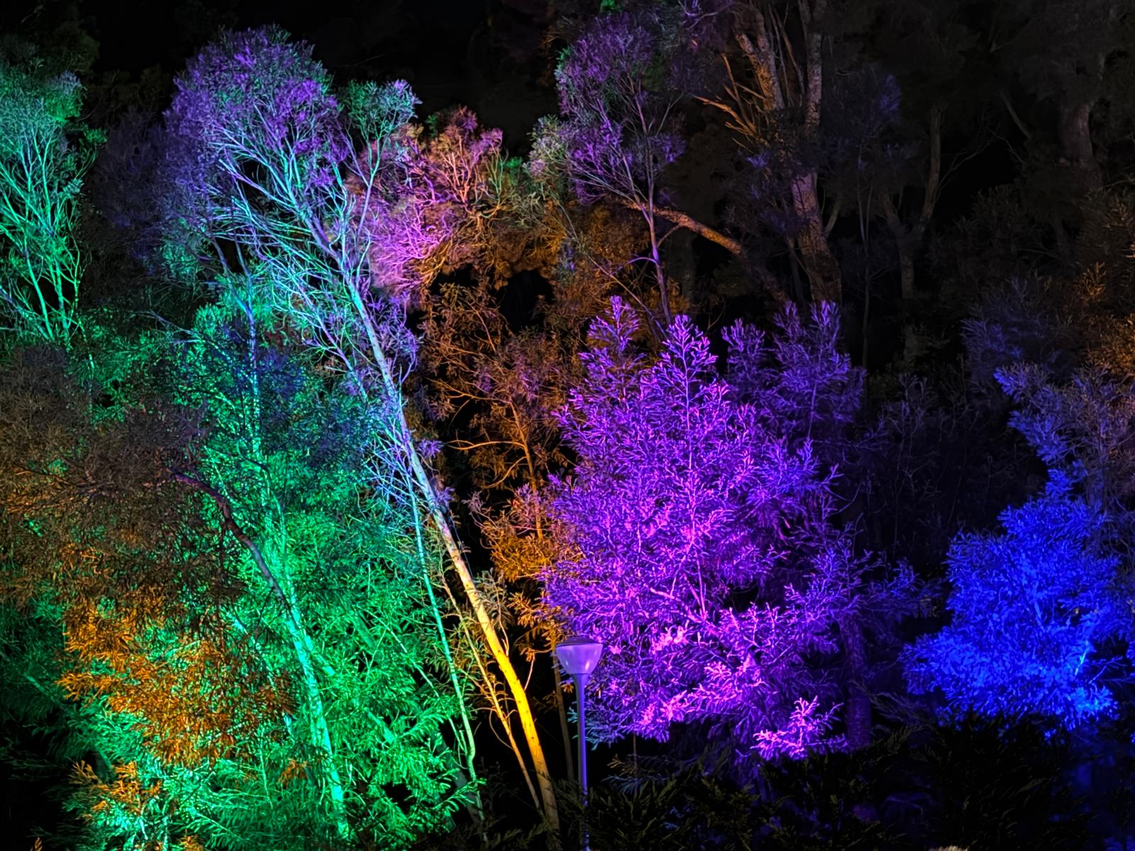 Els colors de les nits d'estiu · Jardins de ´Cap Roig FOTO: Amelia Castellanos Fernandez