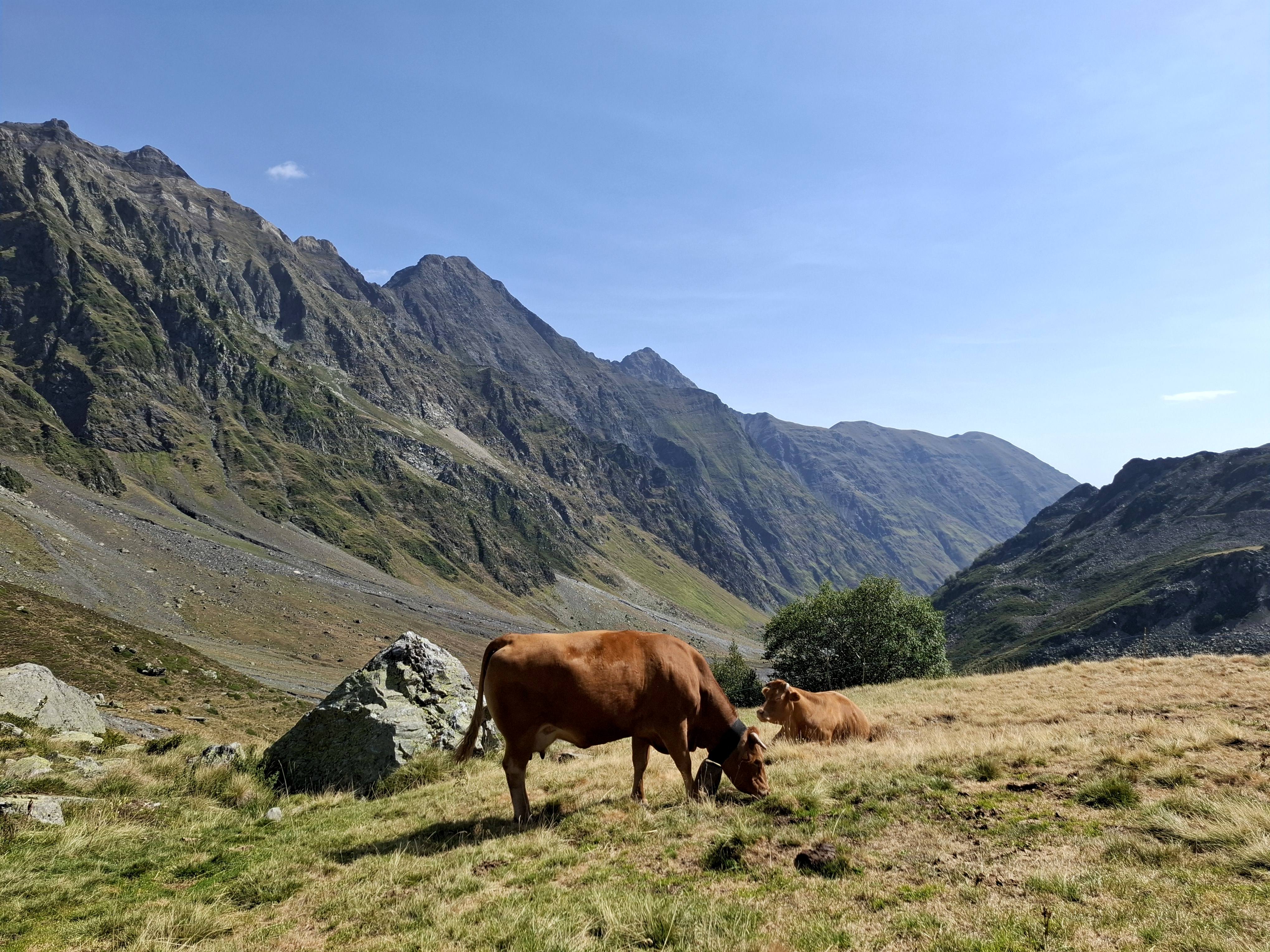 Els muntanyencs · Piau Engaly, Francia FOTO: Stella Noviani