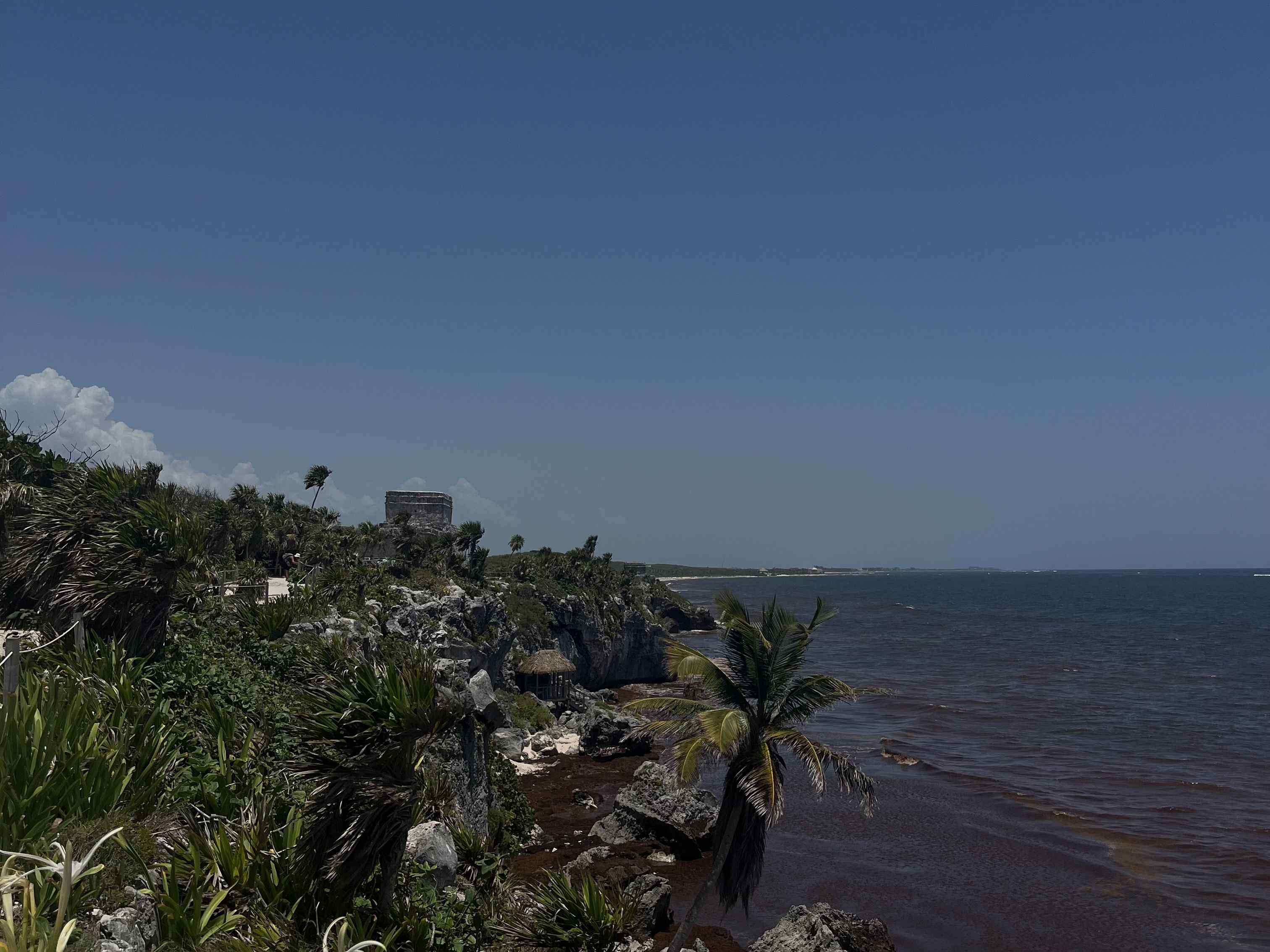 Ruïnes sobre la sang. · Tulum, Mèxic FOTO: Ari Belles Alcabes