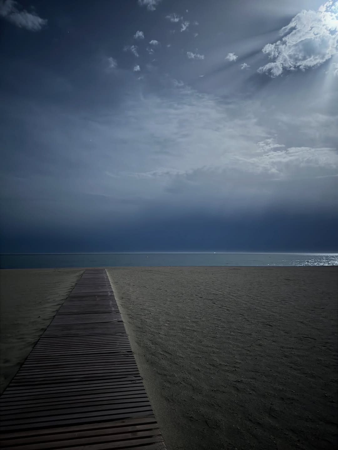 Moonlight FOTO: Emilia Gonzalez