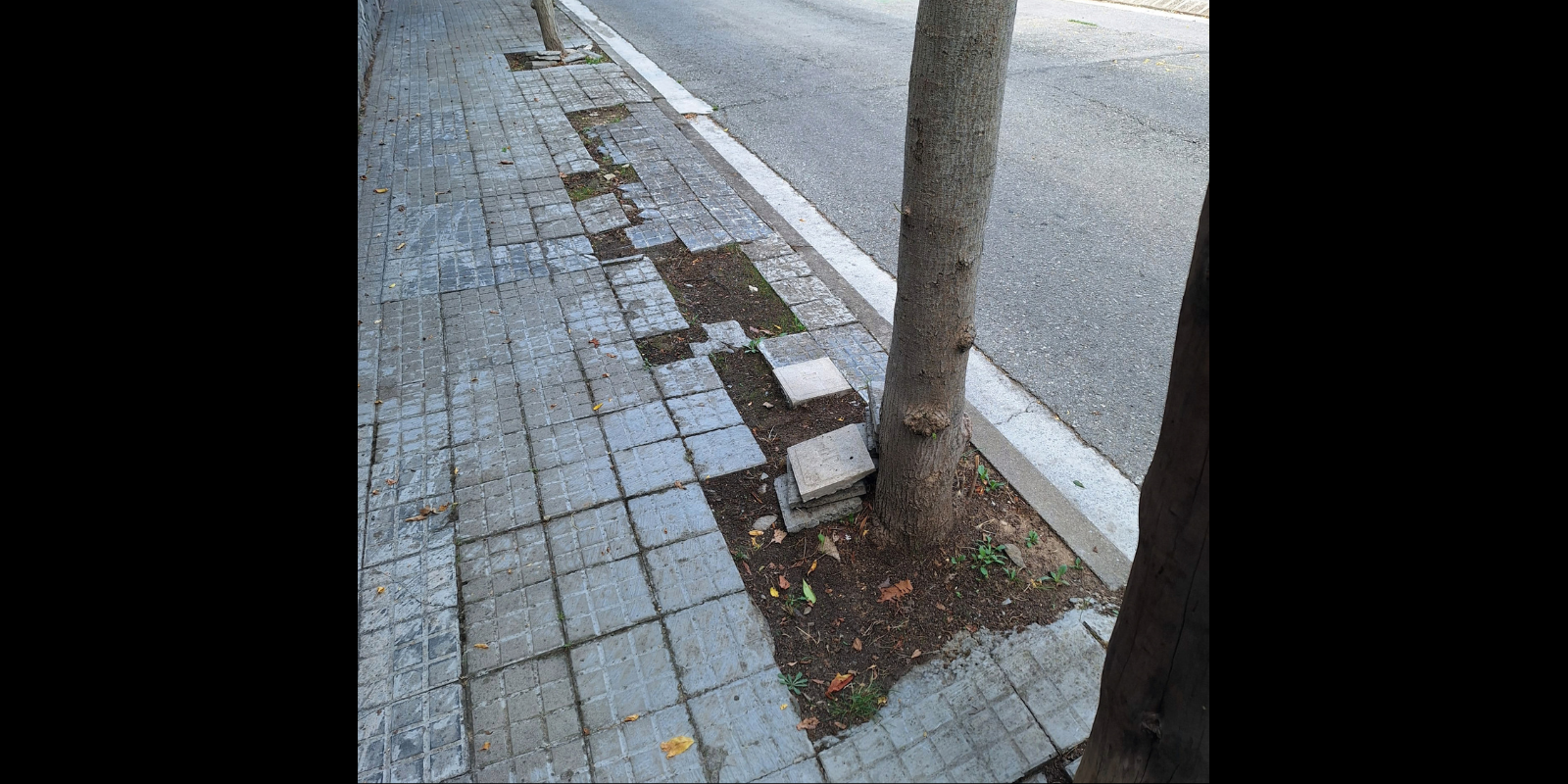 FOTODENUNCIA (2)