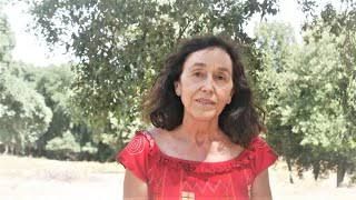 Rosa Font i Massot