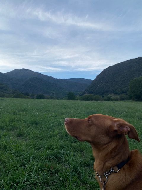 Aires de muntanya · Surri FOTO: Noemi Blanes Lafite