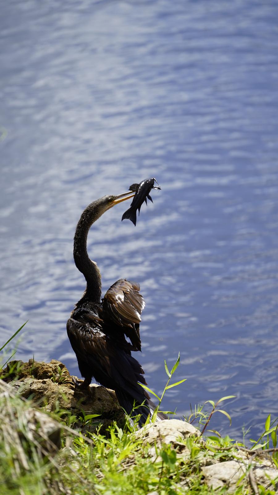 Anem de pesca · Florida FOTO: Aleix Fuchs Tauleria