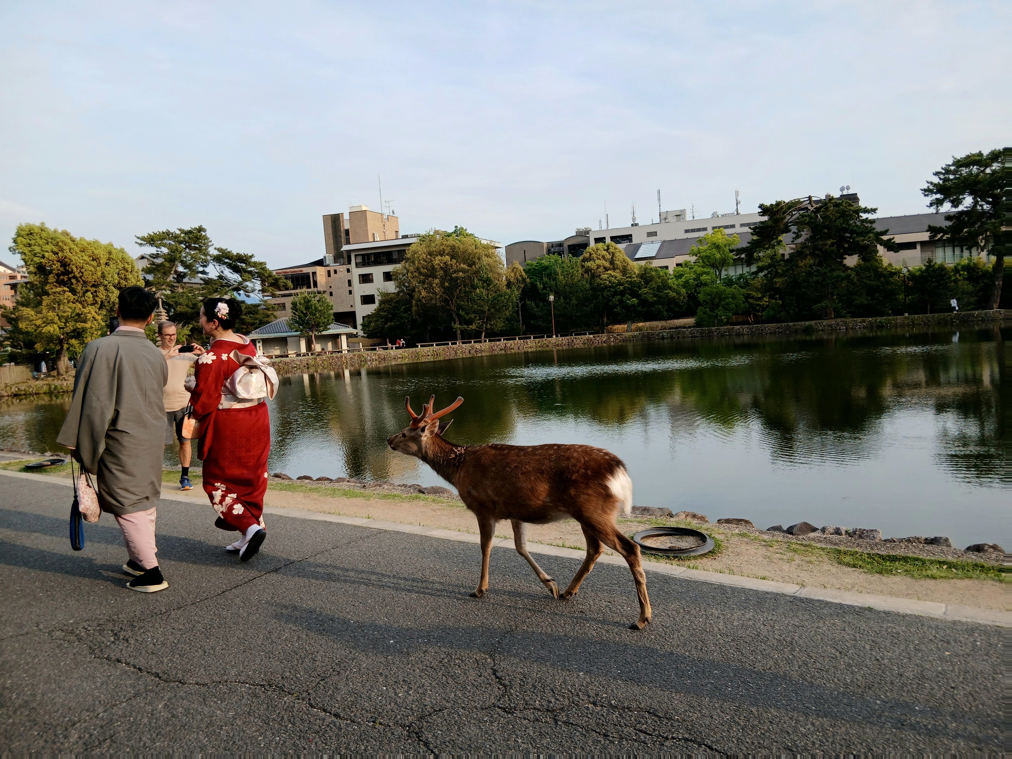Big dreams · Nara, Japan FOTO: Reut Cohen