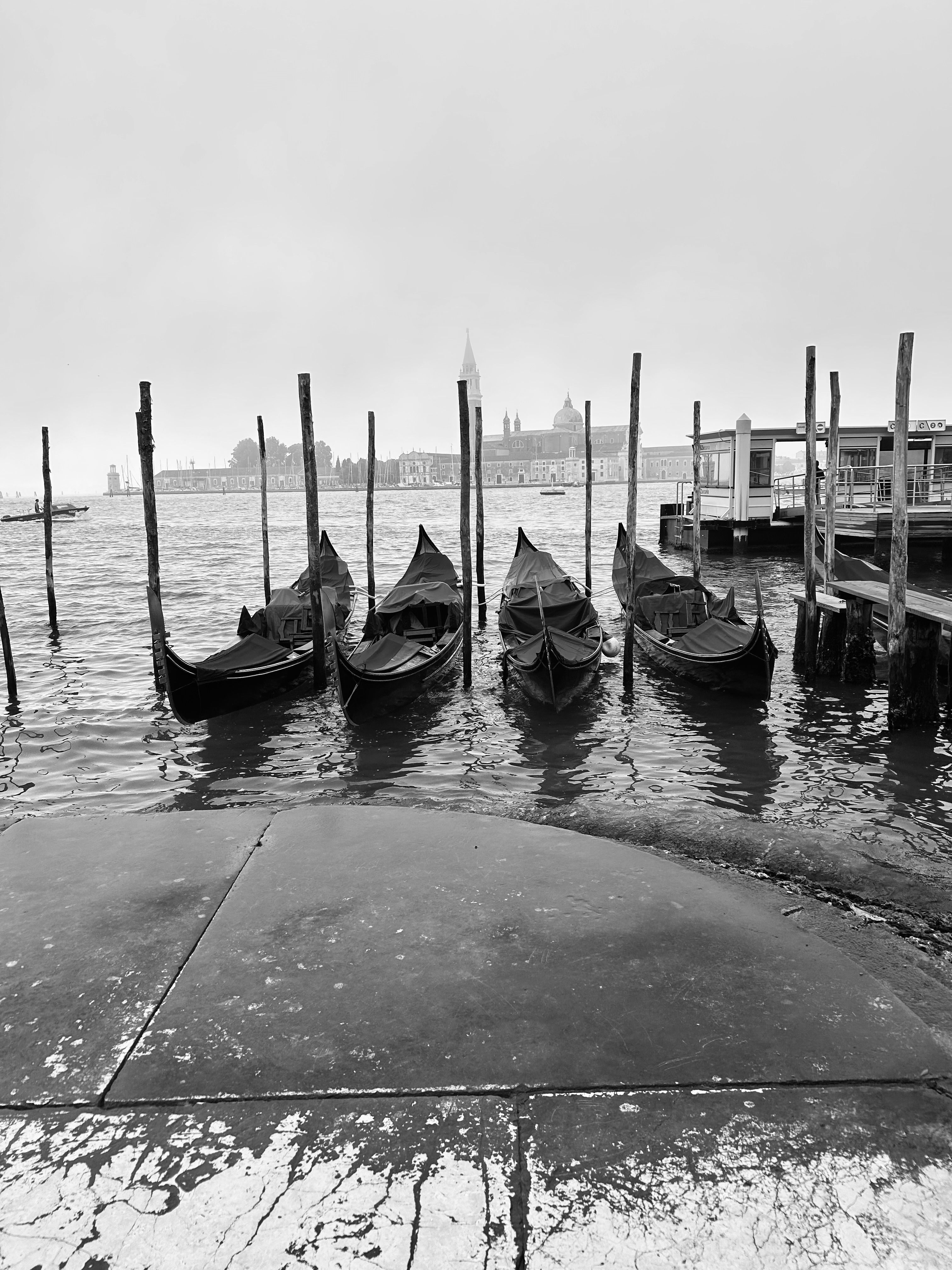 Black and White 2026 · Venezia FOTO: Lucia Barale