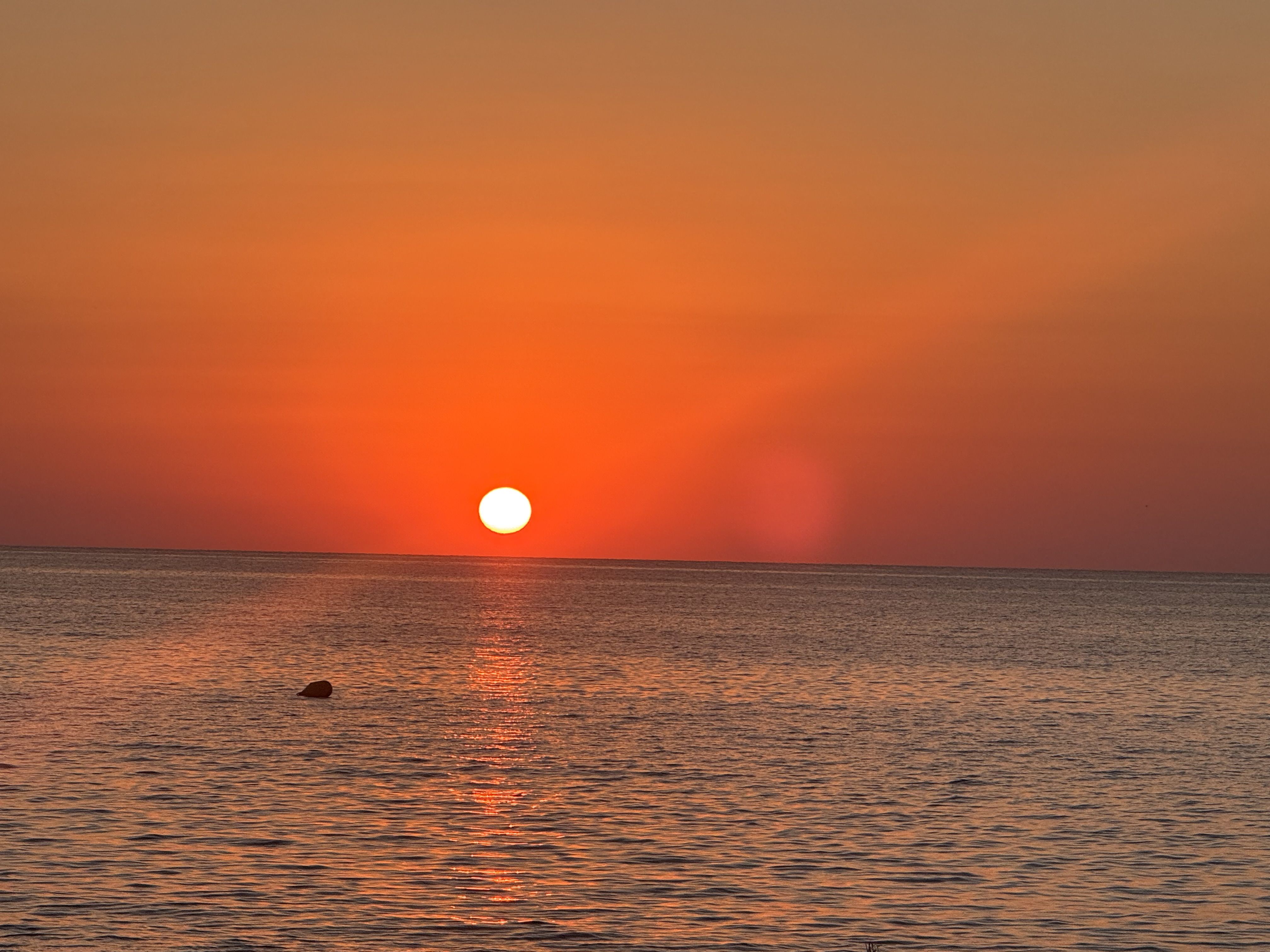Bon dia Mallorca · Mallorca FOTO: Pilar Permanyer Cañas