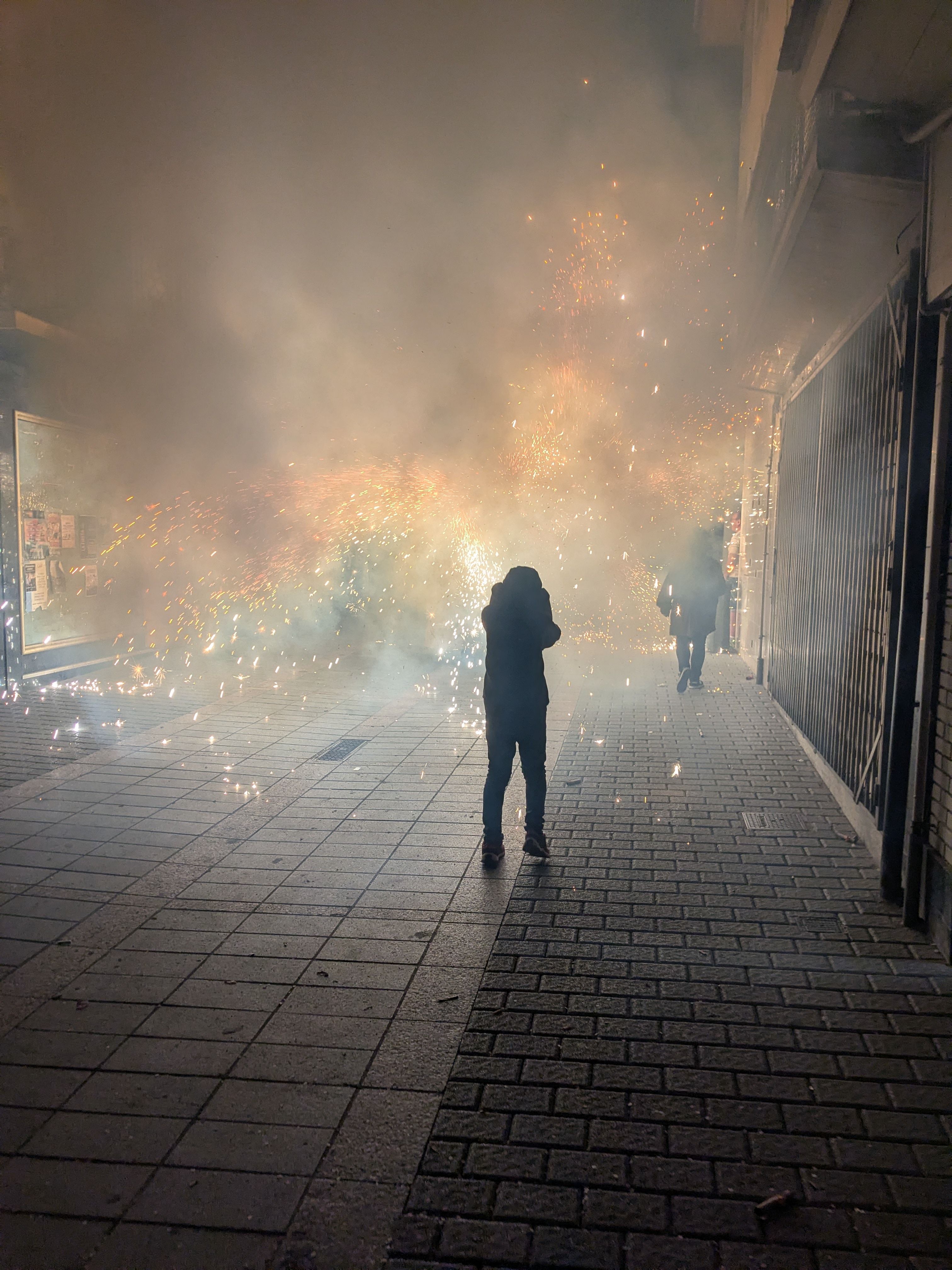 Correfoc · Puigcerda FOTO: Victoria Ferri Vila
