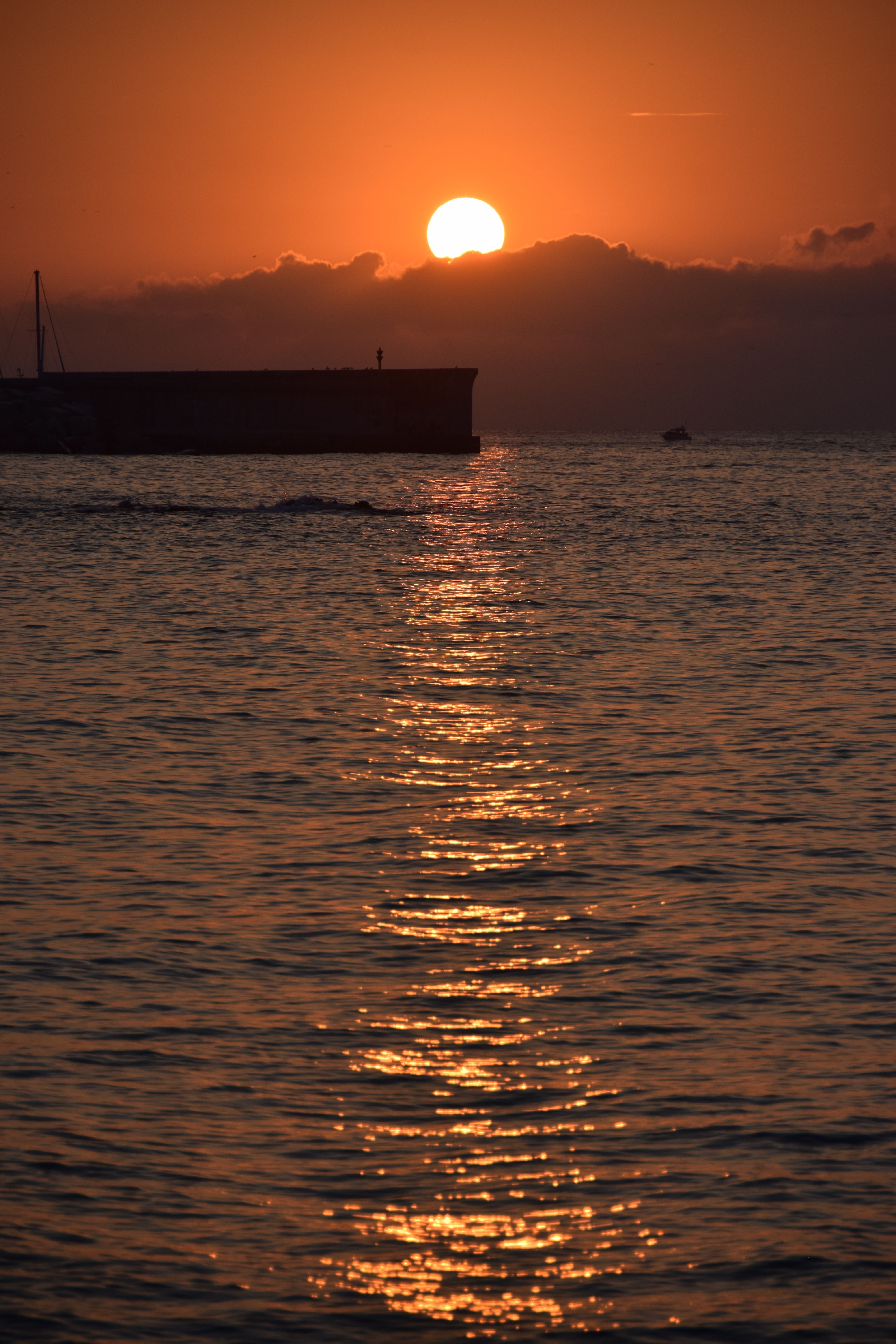 Despertant · Blanes Eulàlia Gonzalvo Gelabert