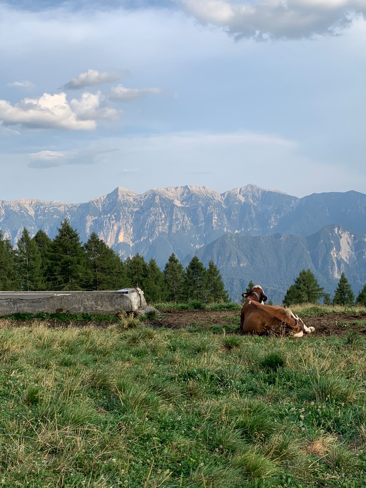 Disfrutant del paissatge · Roncegno Trento Alto Adagio FOTO: Cristina Delgado Puig