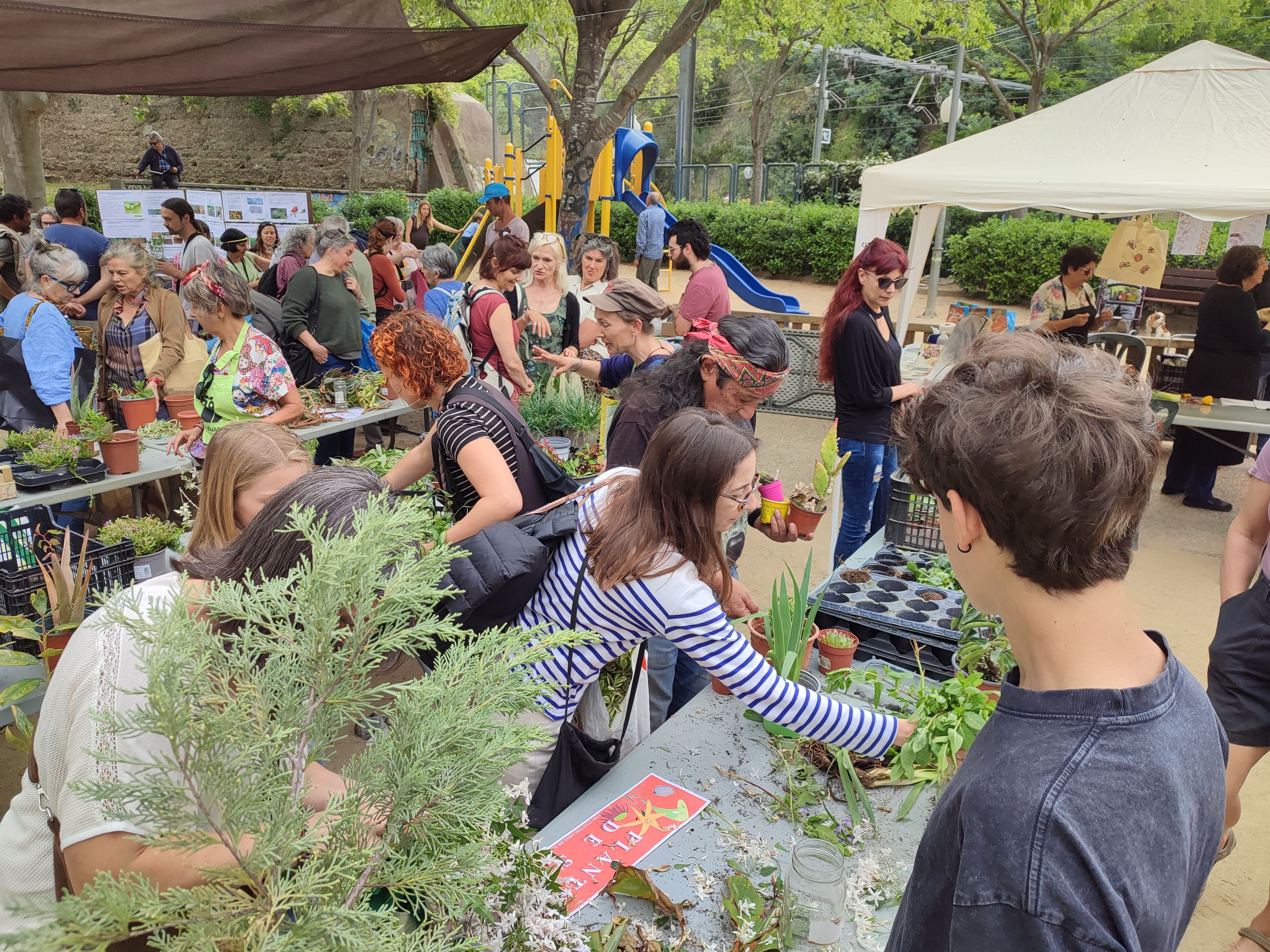 Jornada intercanvi de plantes a la Floresta