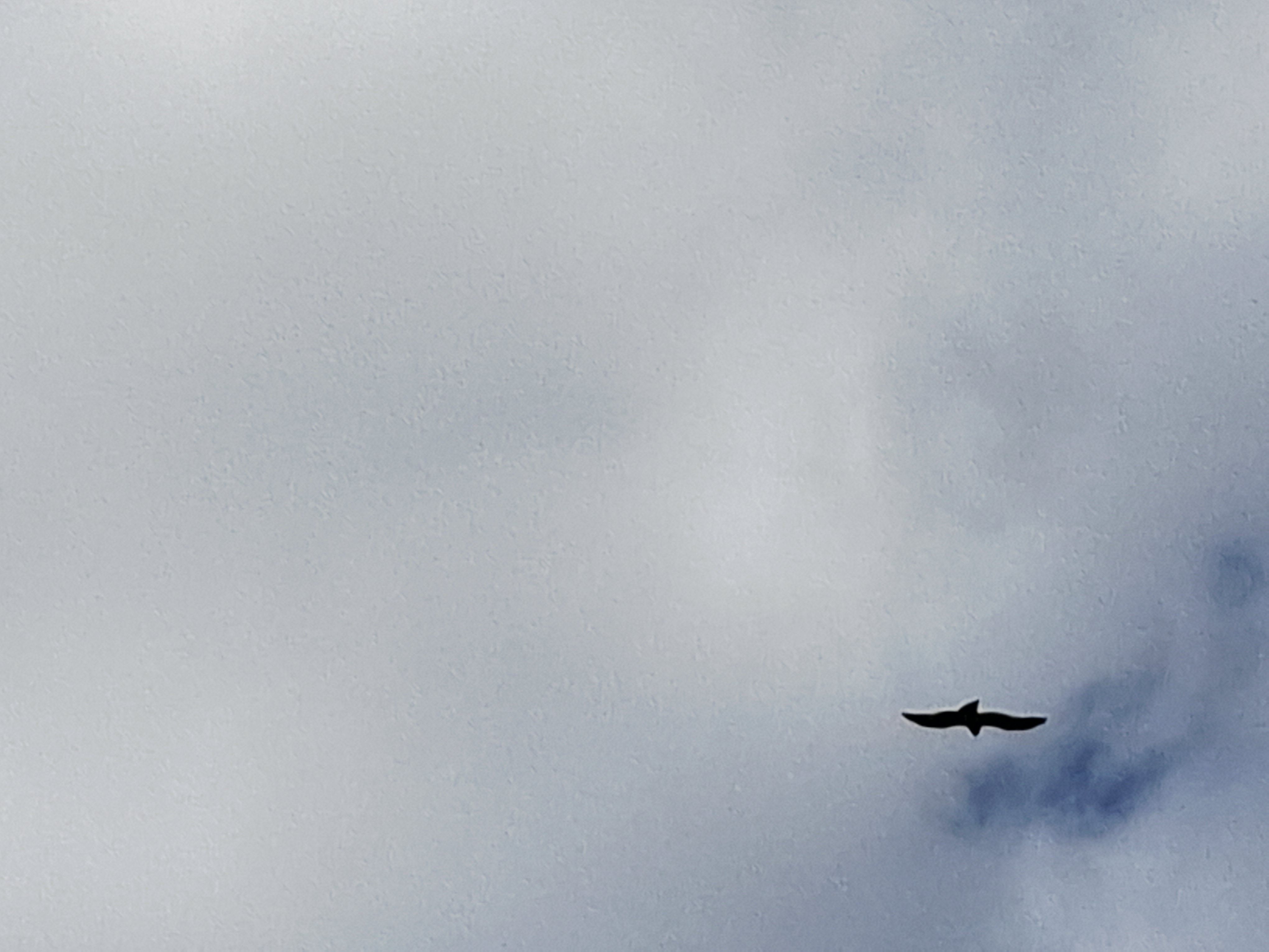 El vol del silenci · Osona FOTO: Javier Jordán Trías