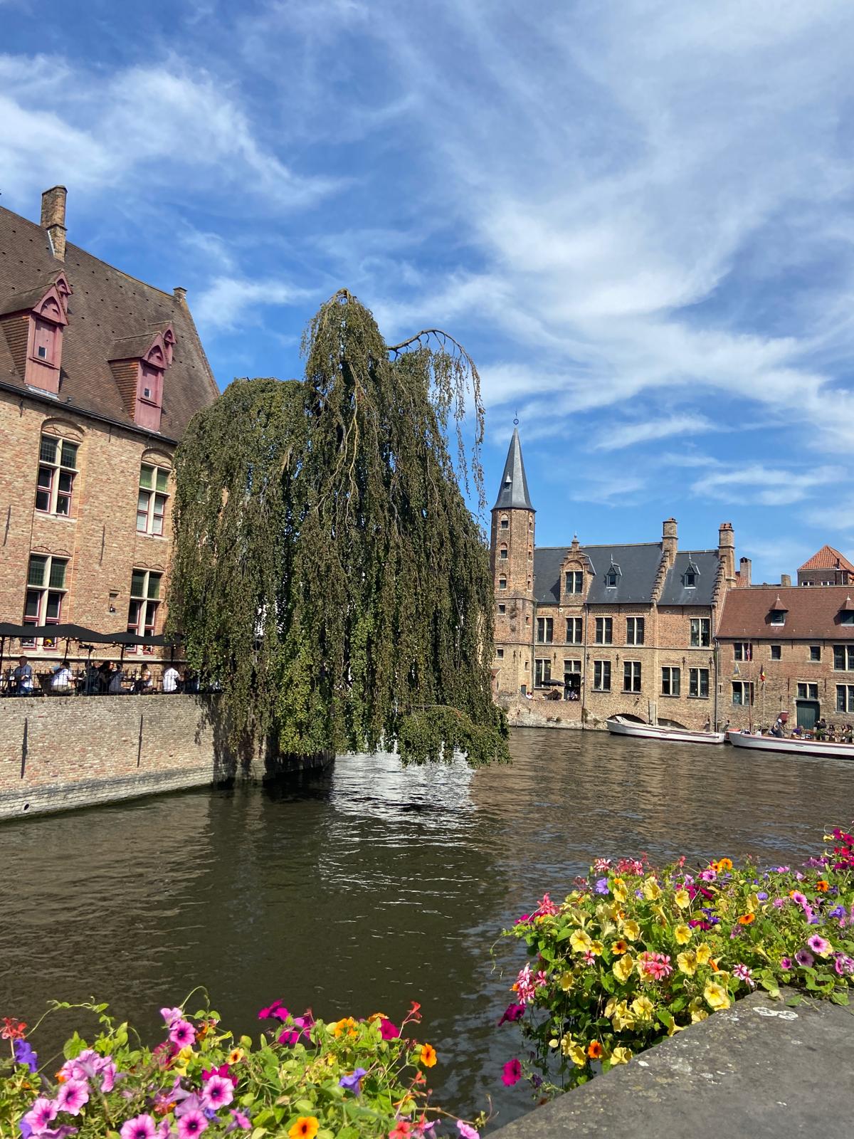 Els colors de Bruges · Bruges, Bèlgica FOTO: Alba Checa Lozano