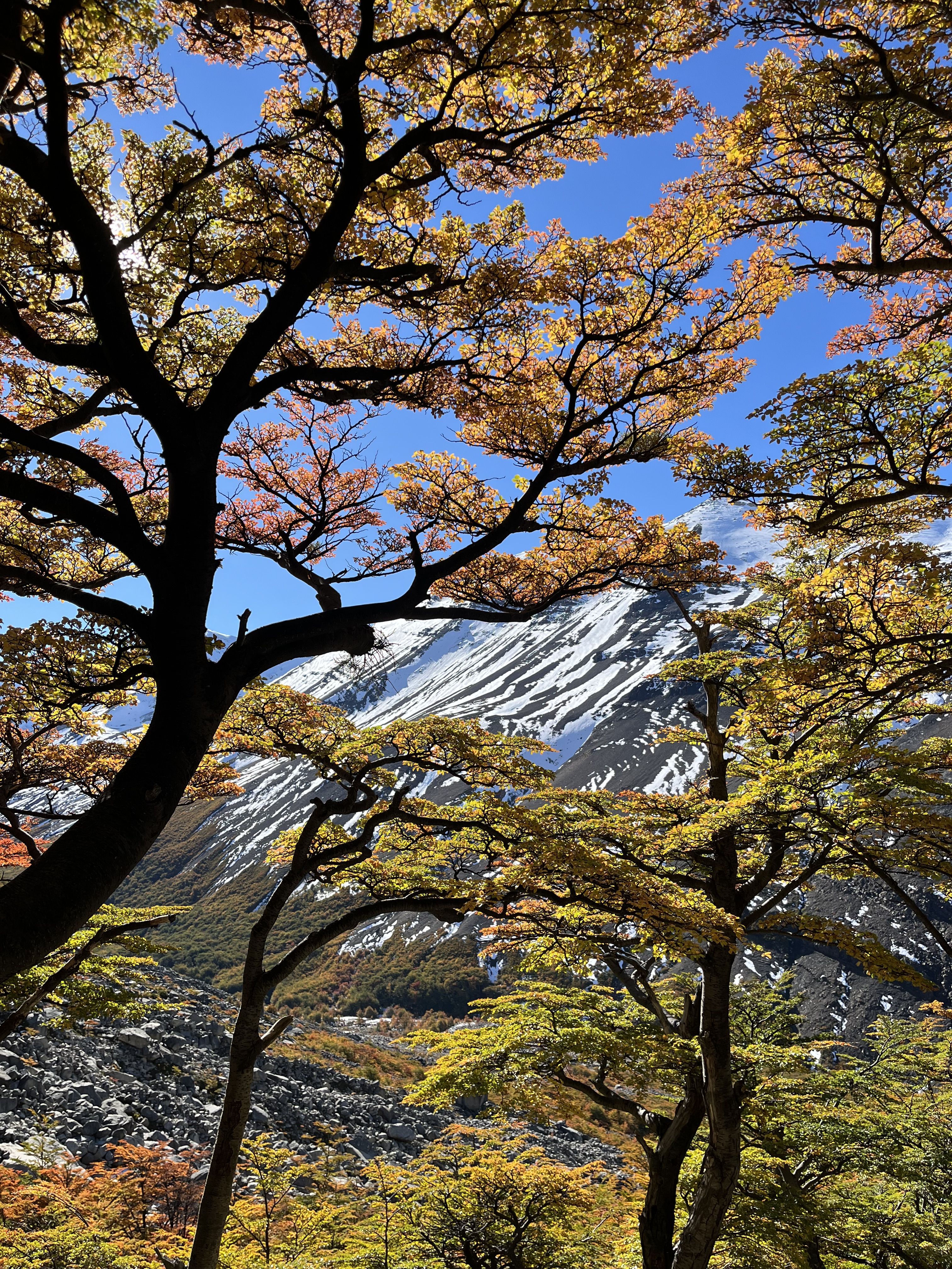 És tardor a La Patagònia xilena · Torres del Paine Xile FOTO: Natàlia Gómez