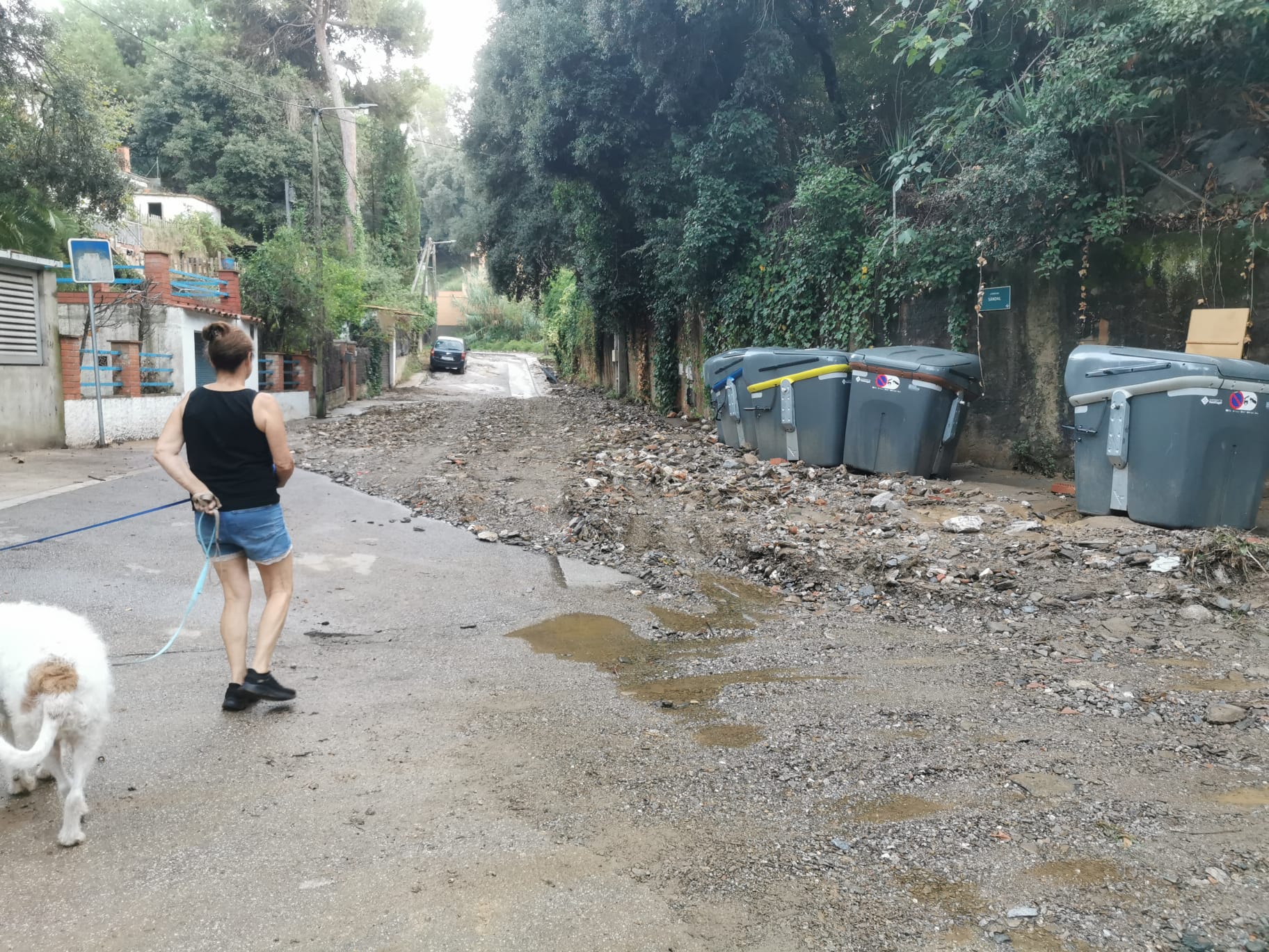 Desperfectes al carrer del Sàndal després de les pluges de finals de setembre FOTO: Cedida