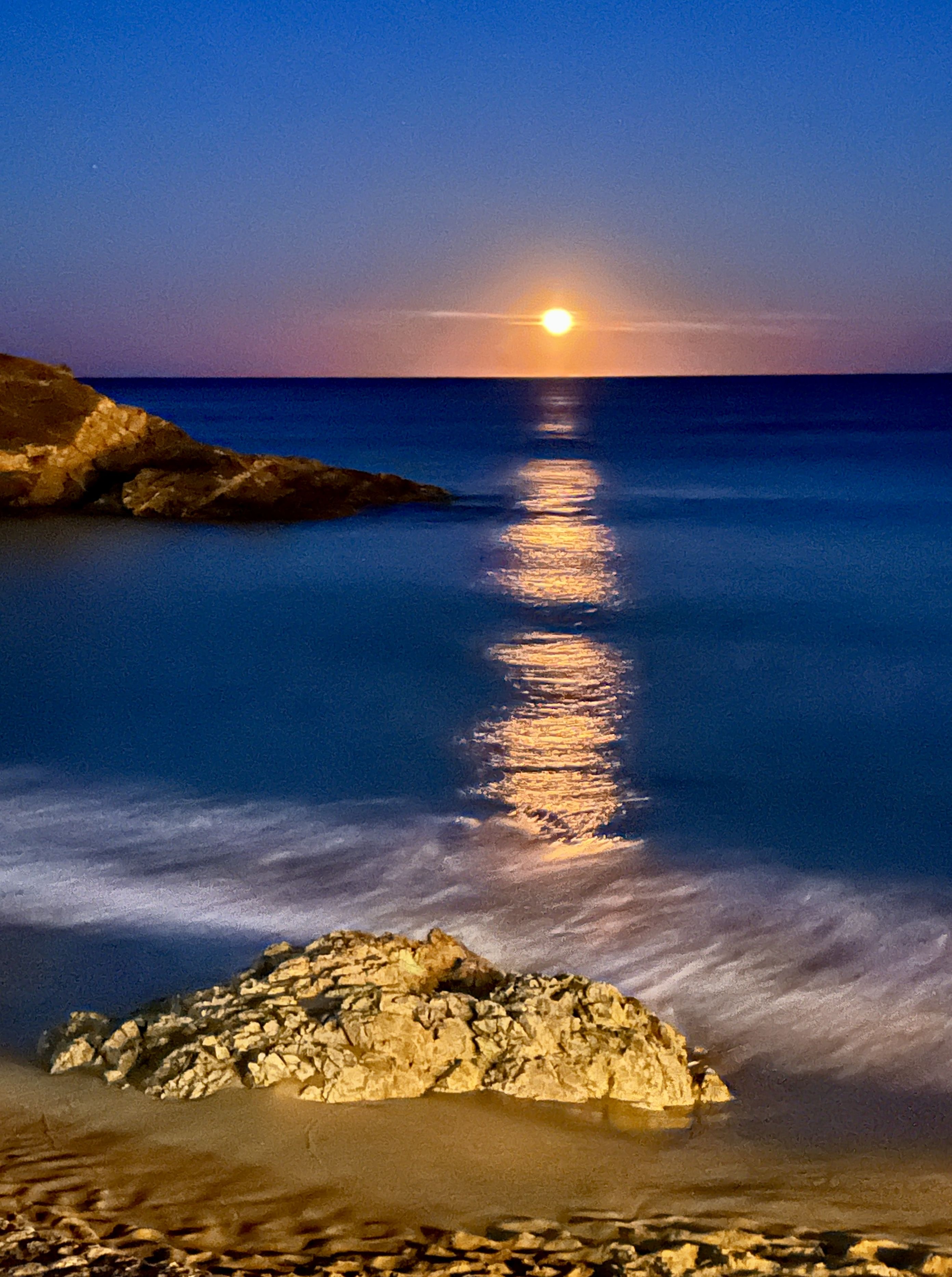Fosca daurada · Cala La Fosca, Palamós FOTO: Mercè Baldi Coll