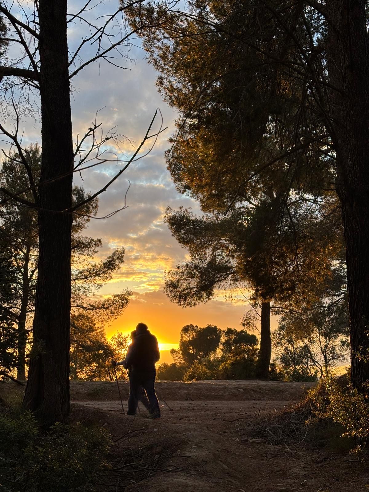 Gaudint del bosc · Vallès Occidental #Aleix · Fuchs Tauleria