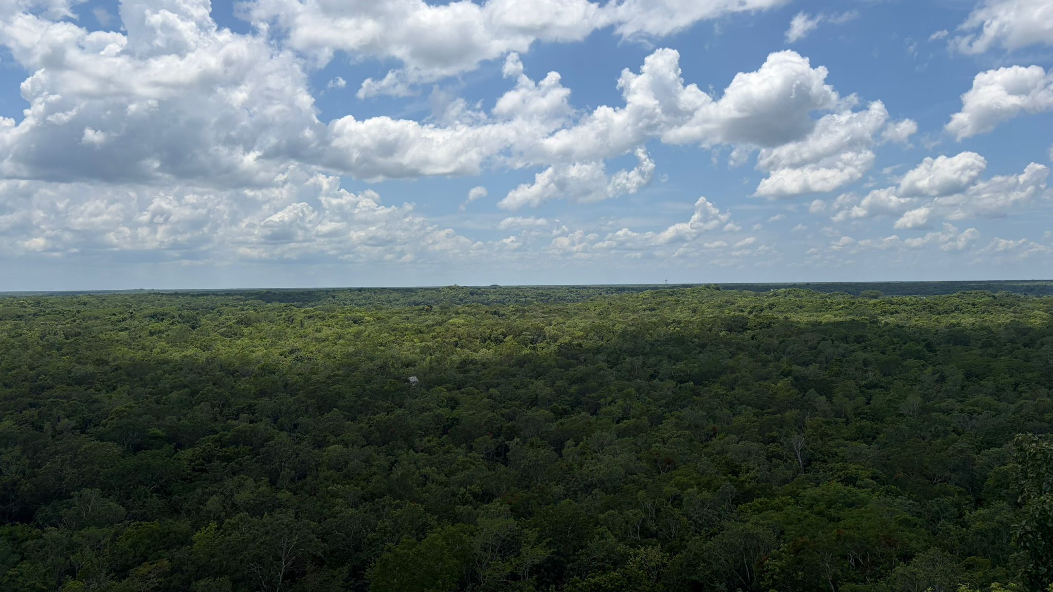 Immensitat · Selva de Cobà. Mèxic FOTO: Maria López Cano