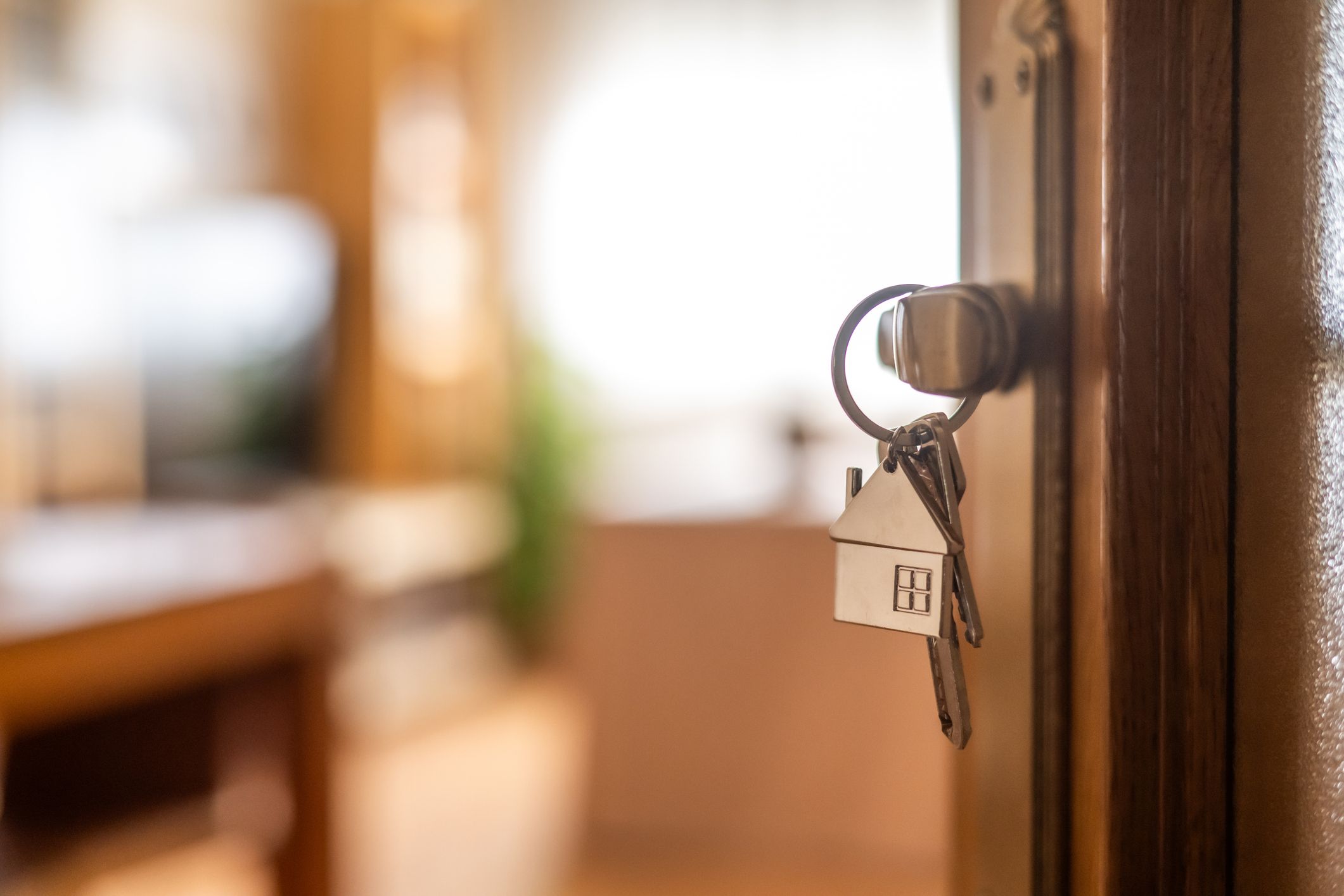 Idees interesants per compra, vendre o reforma un habitatge. FOTO: Cedida