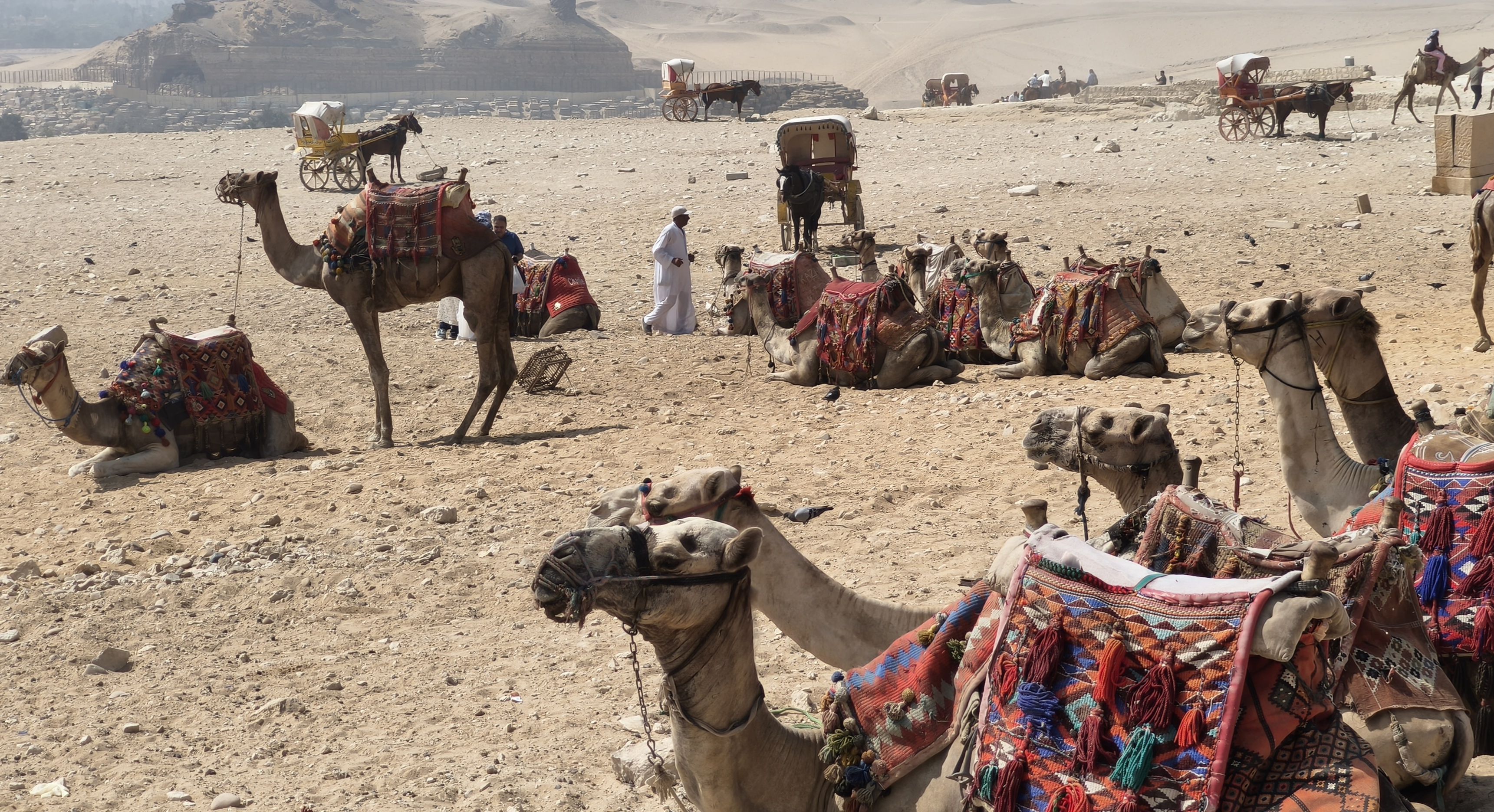 Los lunes al sol · El Cairo, Egipto FOTO: ESTHER CRIADO